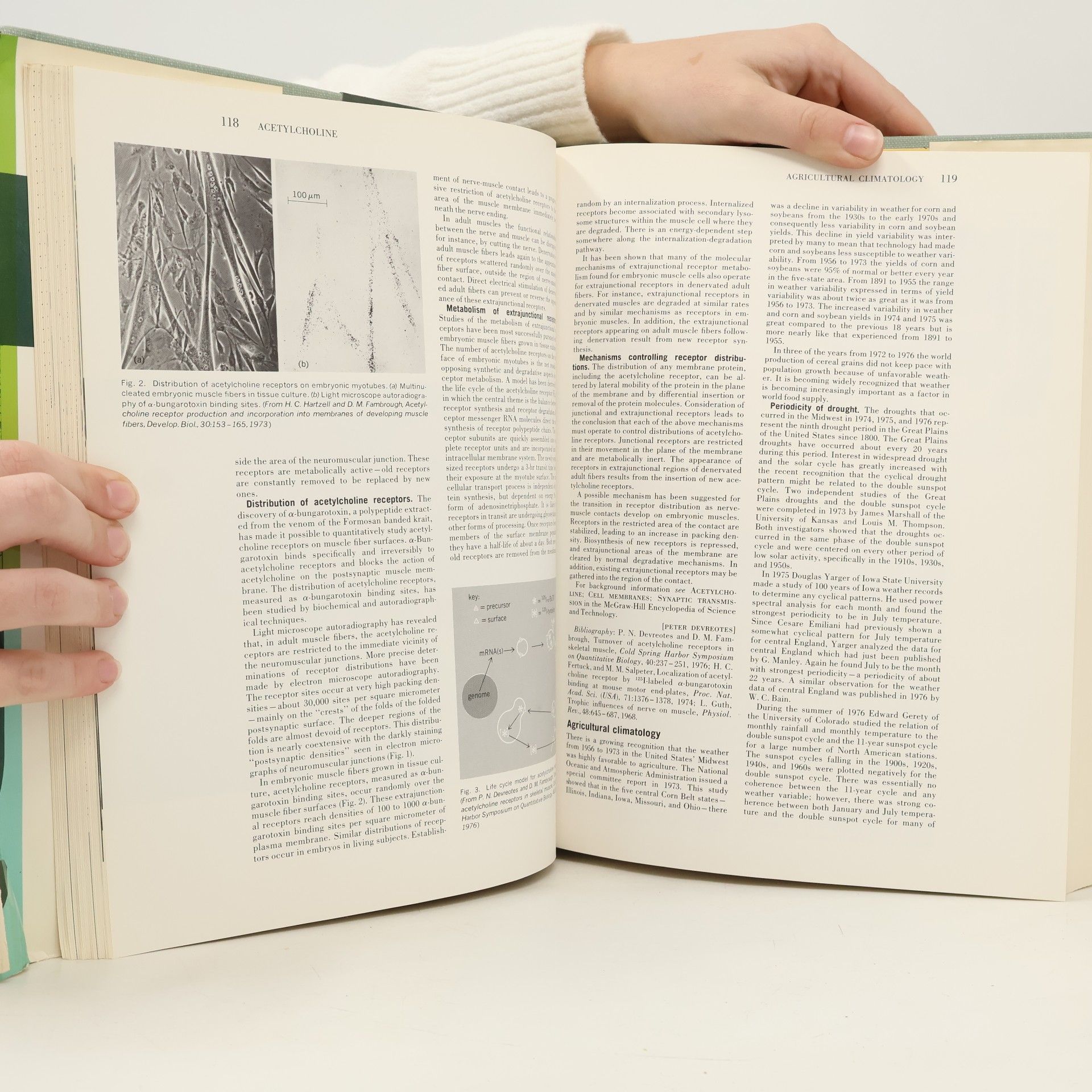 McGraw-Hill Education McGraw-Hill Yearbook of Science and Technology - 1977