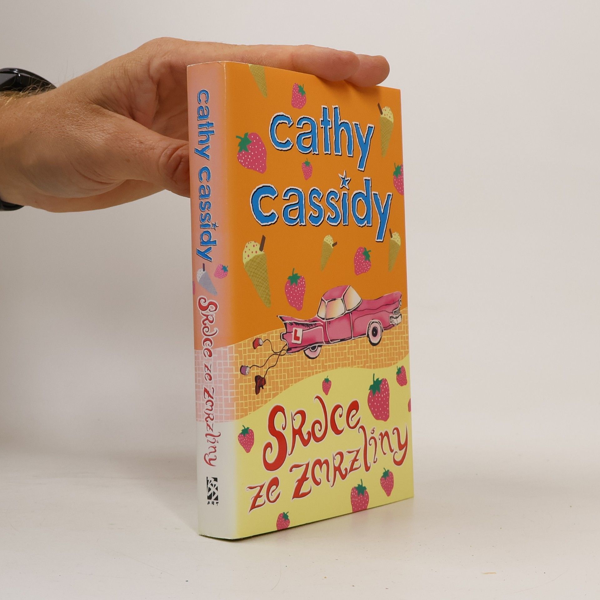 Cathy Cassidy Srdce ze zmrzliny