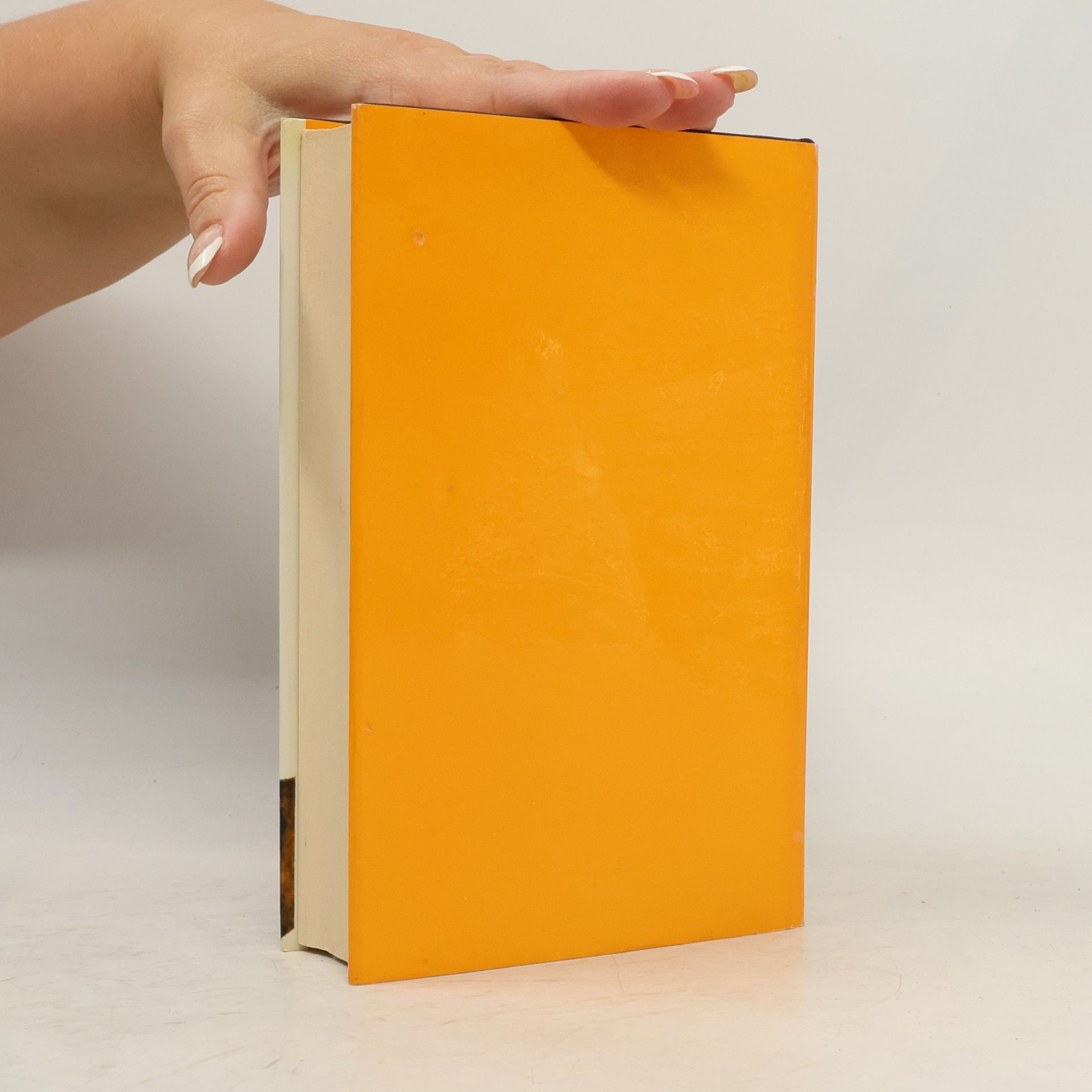 Jürgen Thorwald Die Illusion