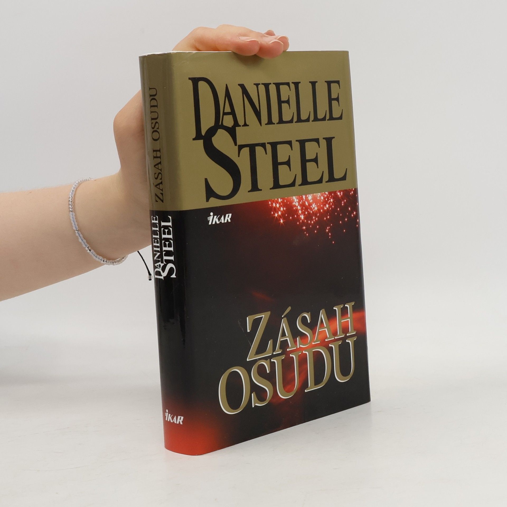 Danielle Steel Zásah osudu