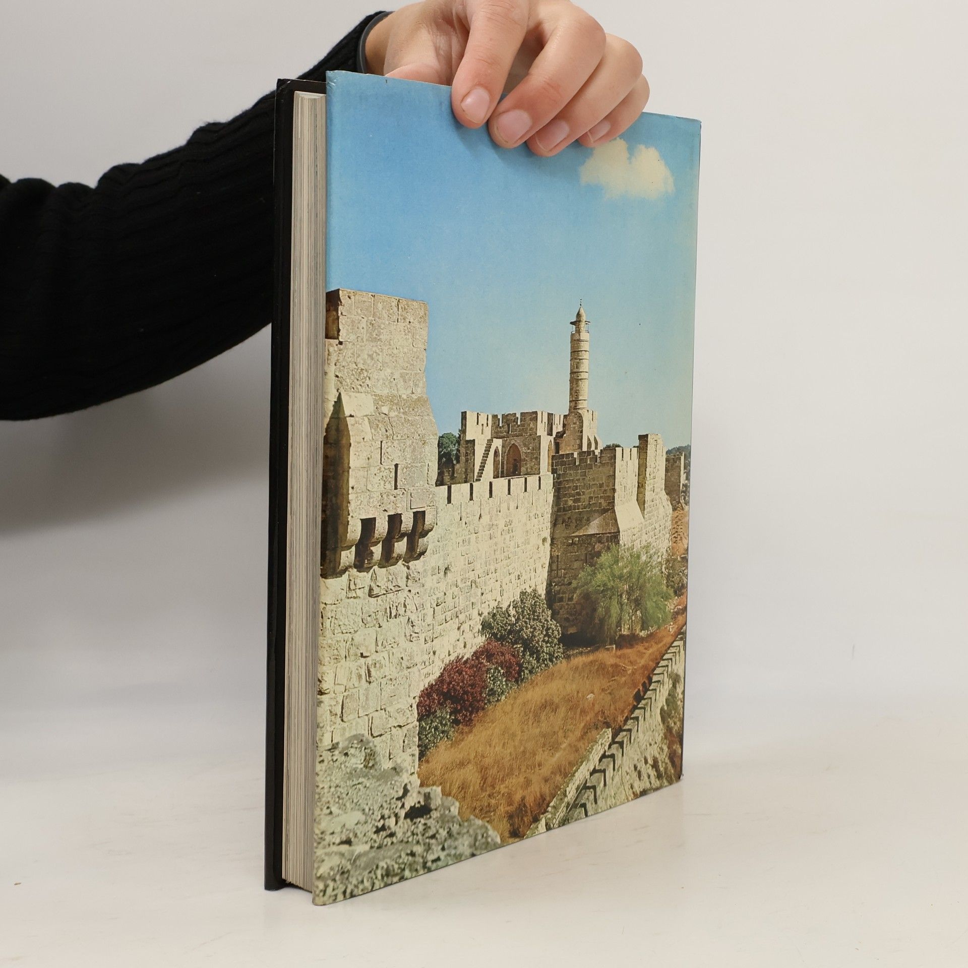 Teddy Kollek Jerusalem. Seine Geschichte in vier Jahrtausenden