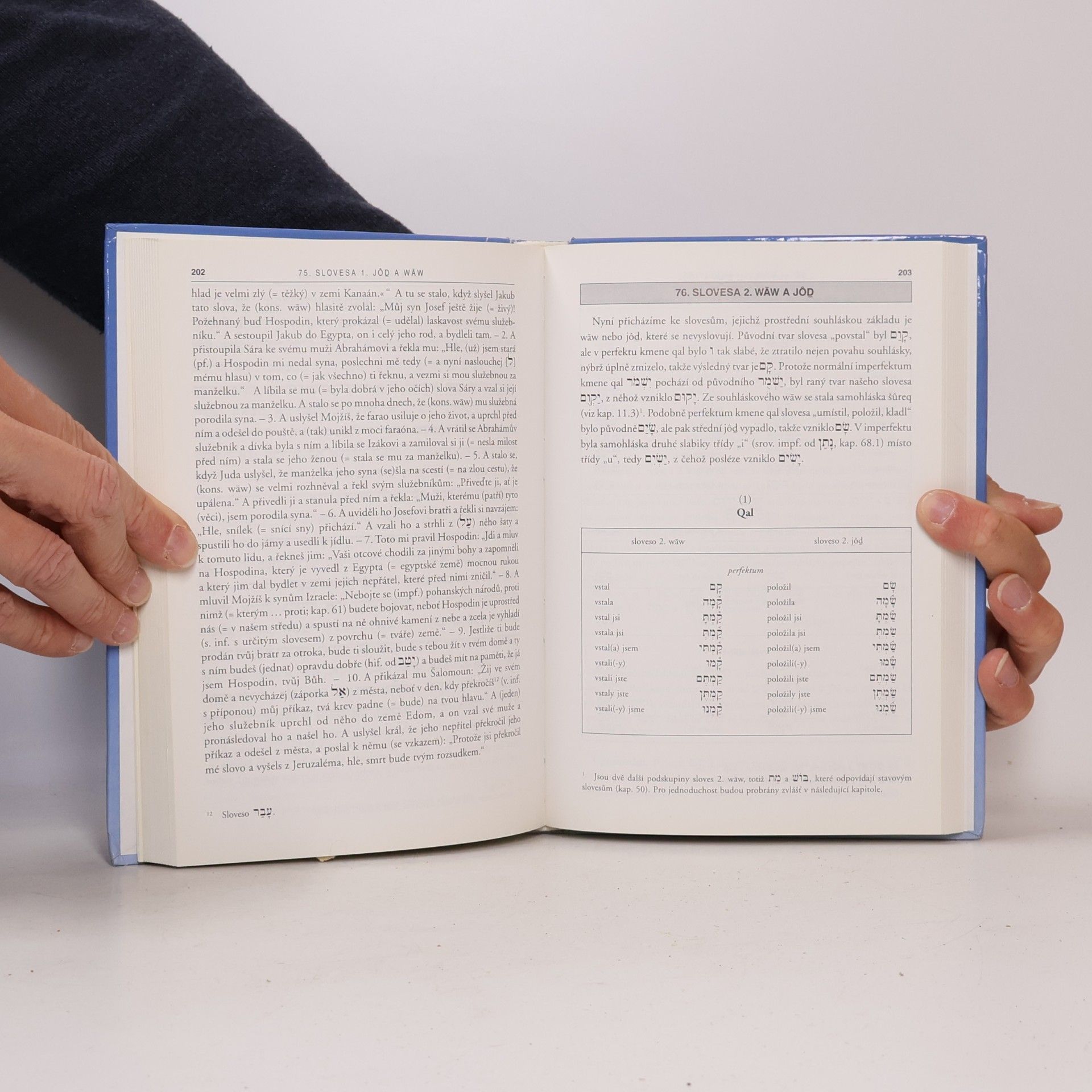J. Jacob Weingreen Učebnice biblické hebrejštiny