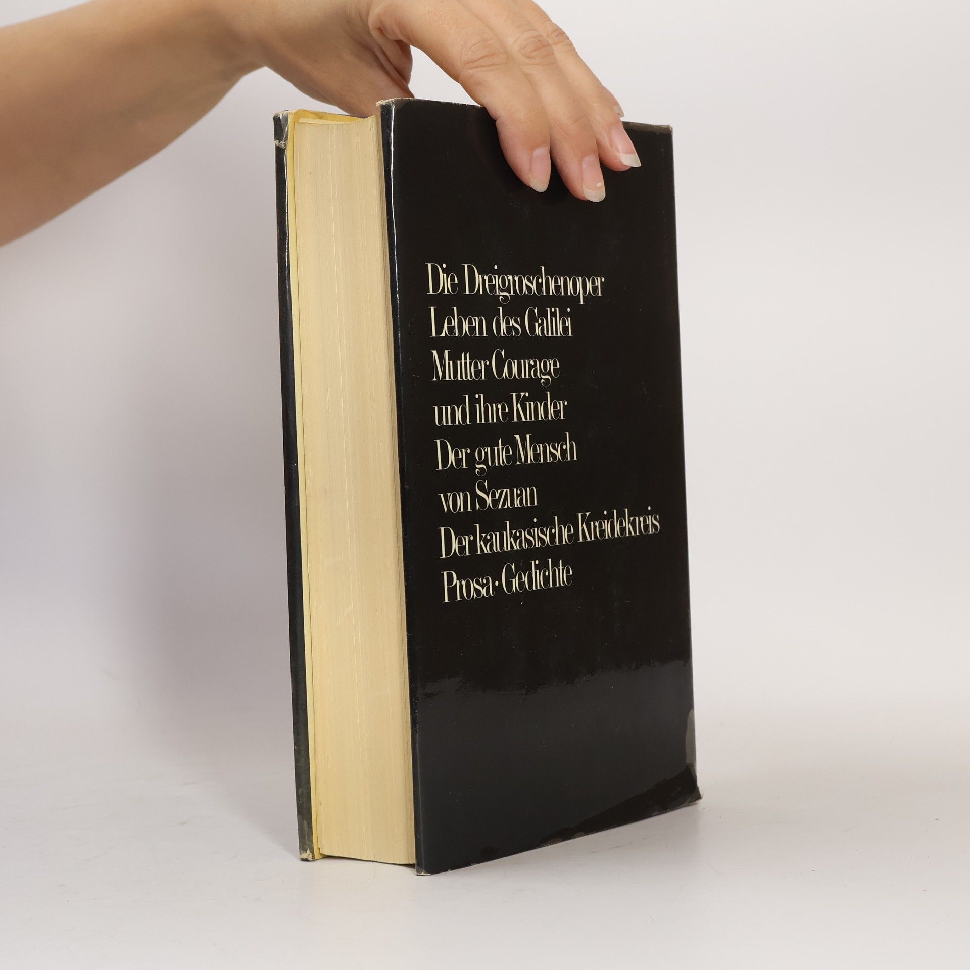 Bertolt Brecht Das Bertolt Brecht Buch