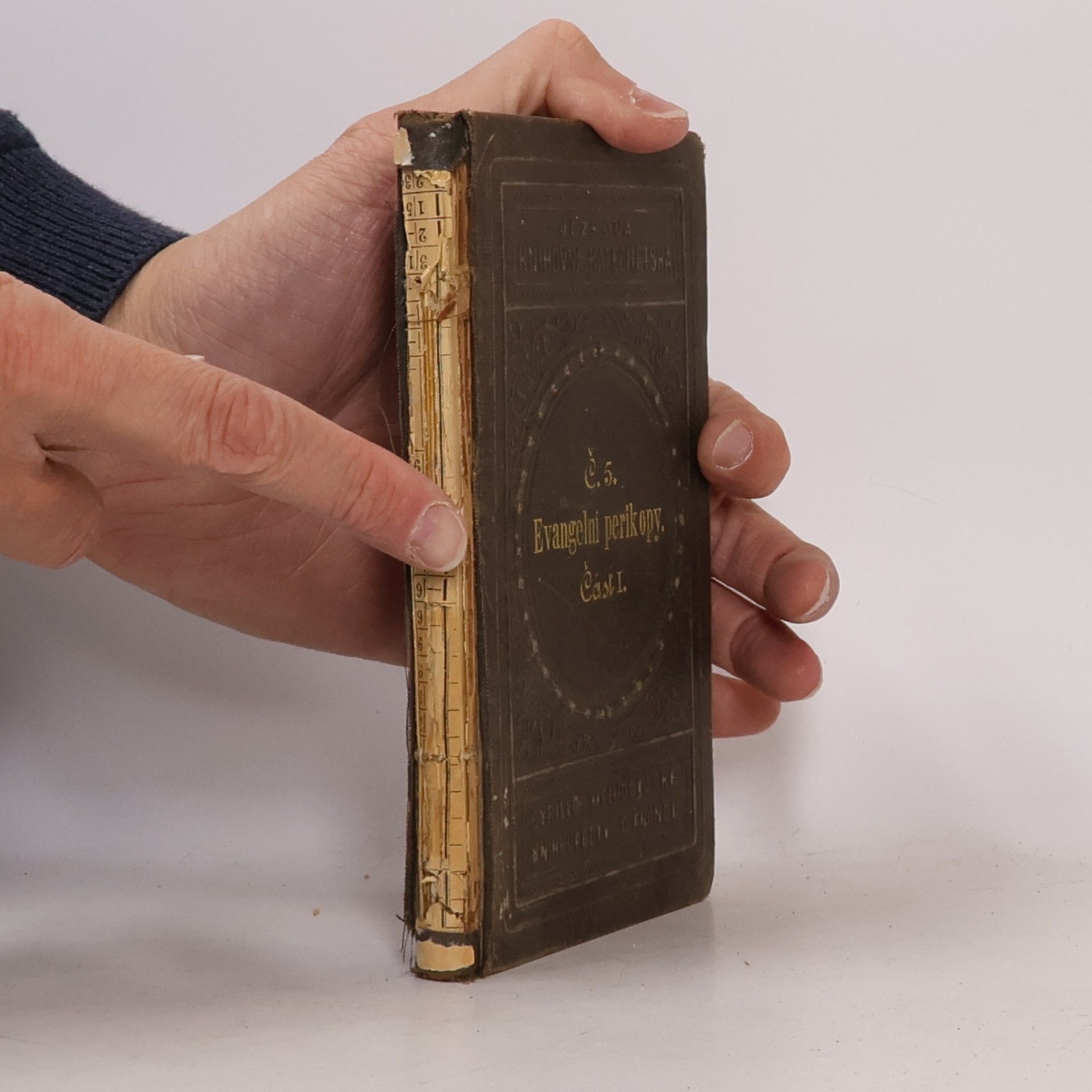 Frant. Dusil Evangelní perikopy I