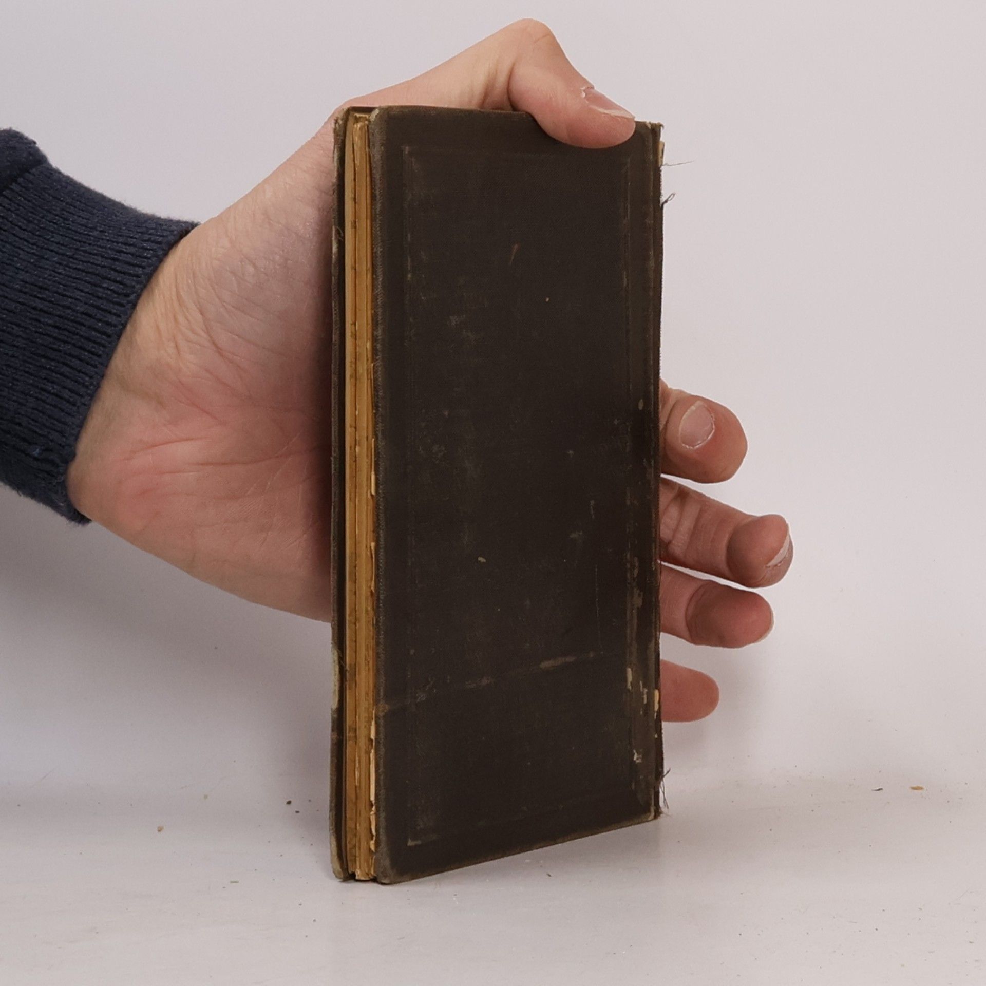 Frant. Dusil Evangelní perikopy I