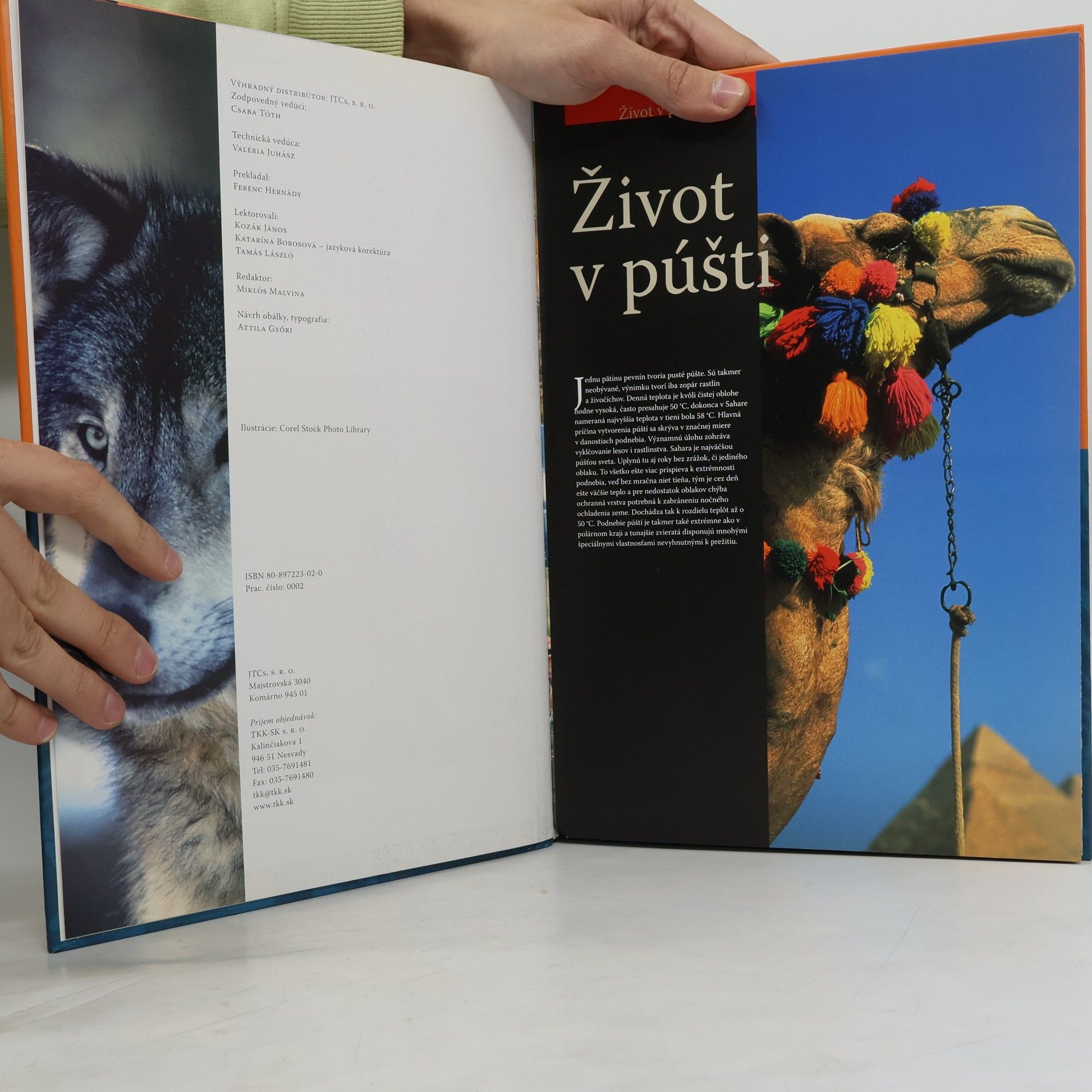 Autorenkollektiv Potulky svetom zvierat