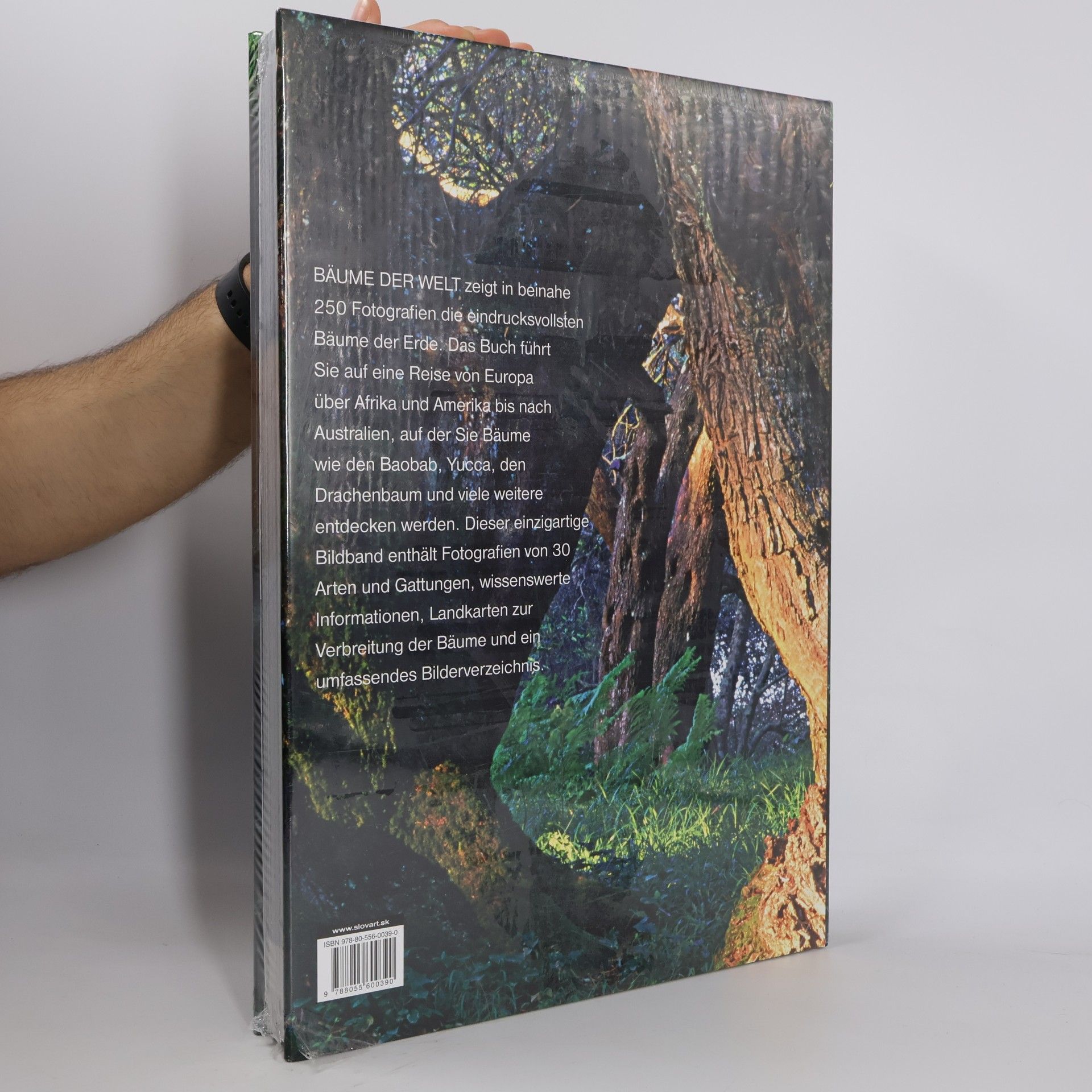 Tomáš Míček Bäume der Welt. Trees of the World. Deutsch-Englisch-Französisch-Niederländisch-Spanisch