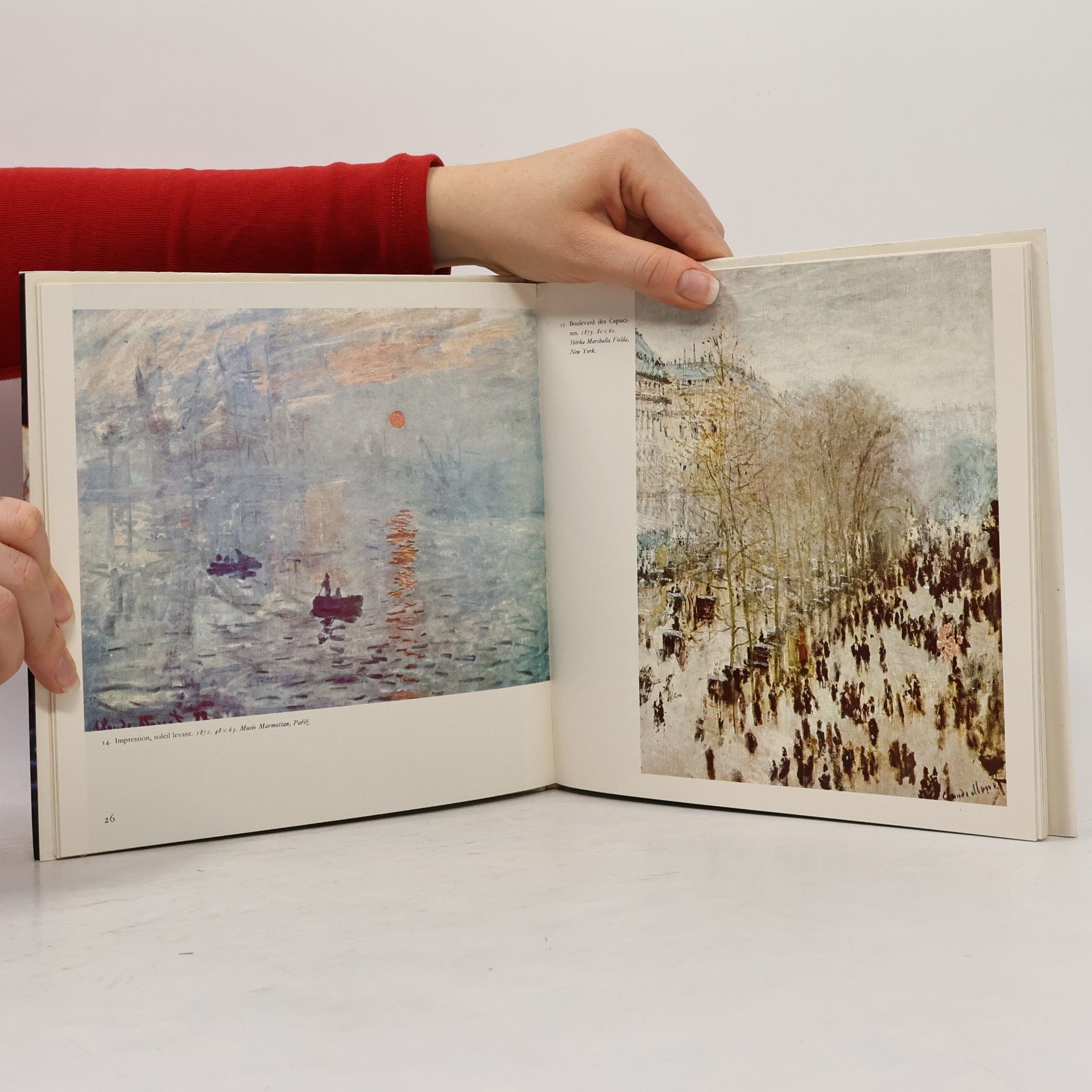 Ivo Krsek Claude Monet