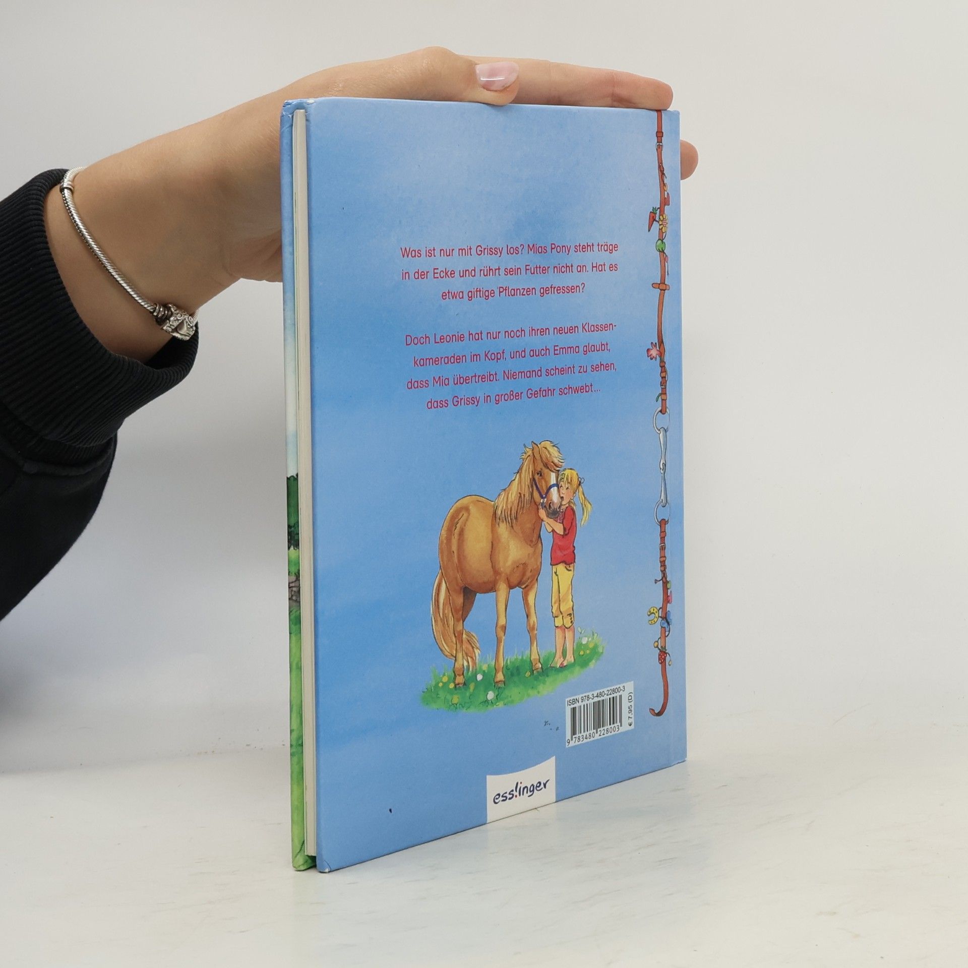 Ruth Gellersen Die Ponygirls. Grissy in Gefahr
