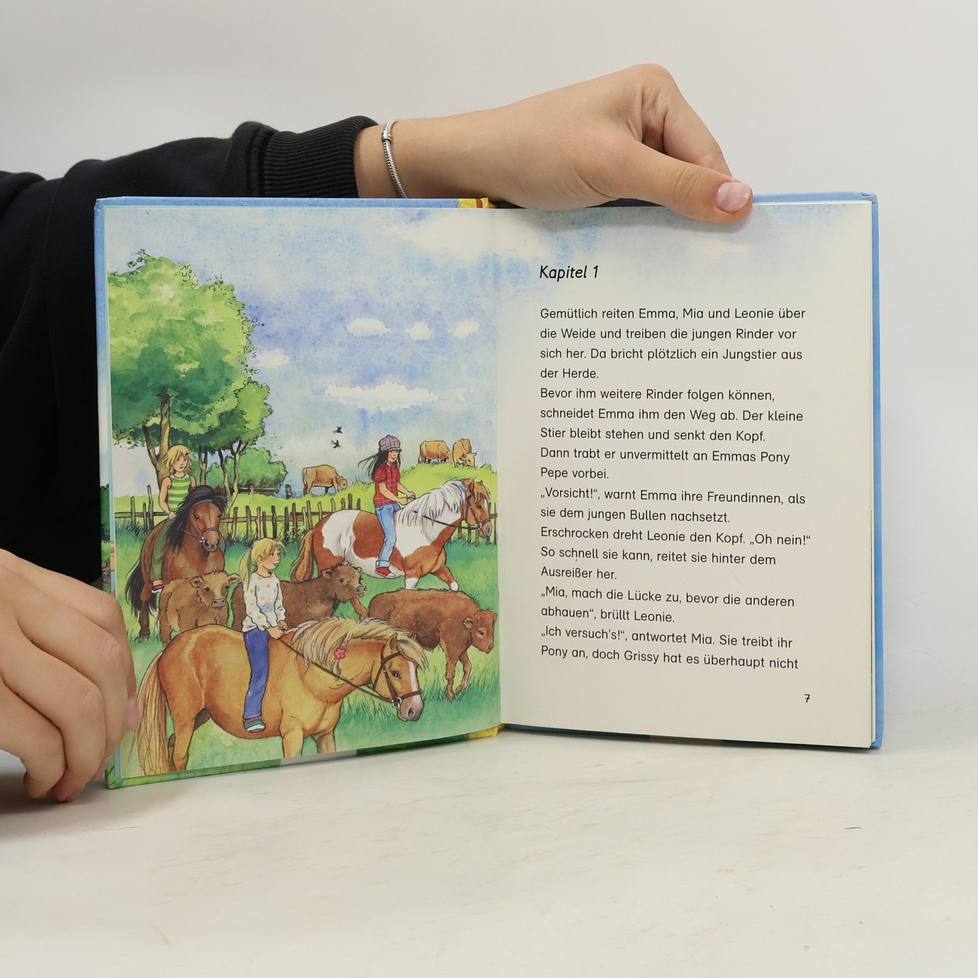 Ruth Gellersen Die Ponygirls. Grissy in Gefahr