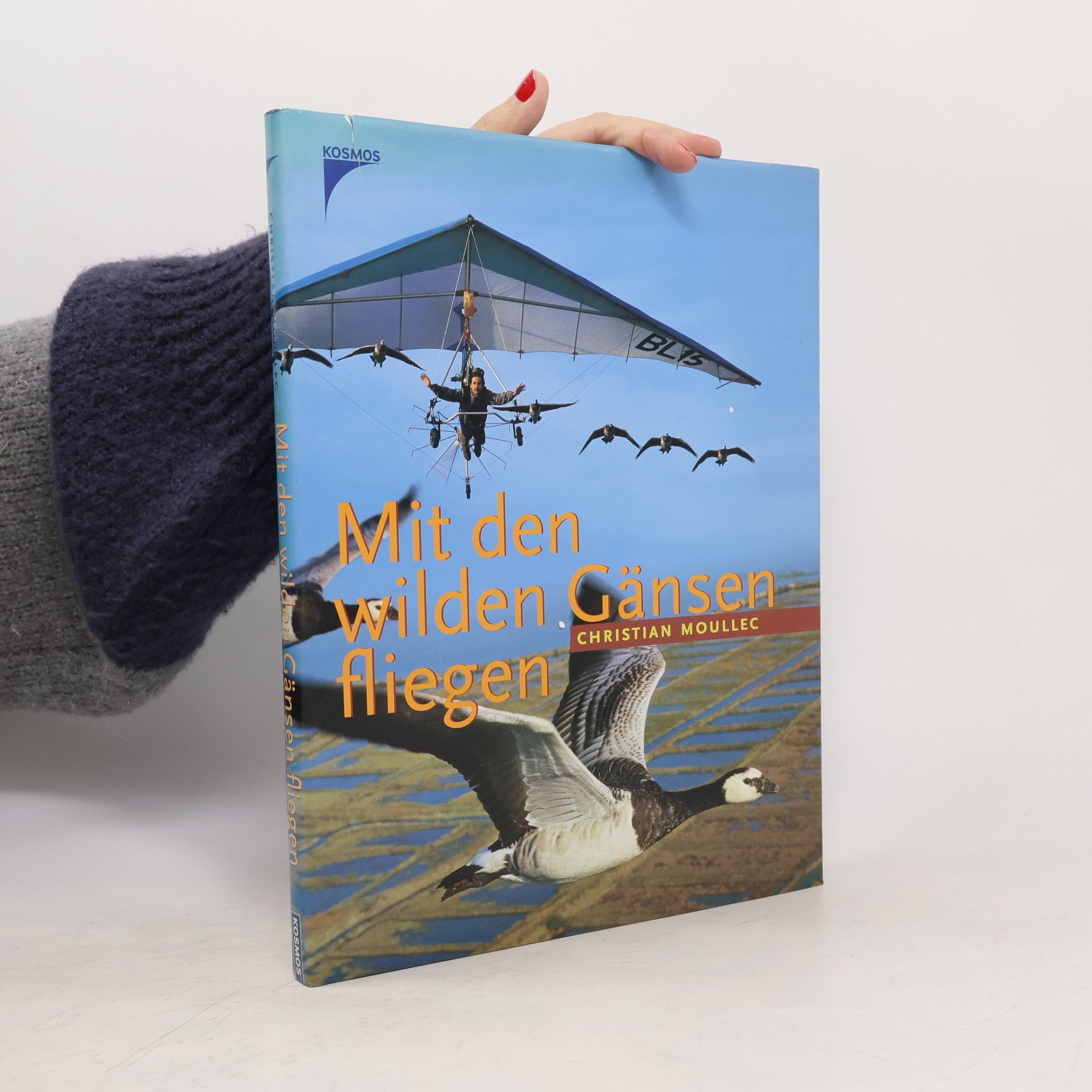 Christian Moullec Mit den wilden Gänsen fliegen