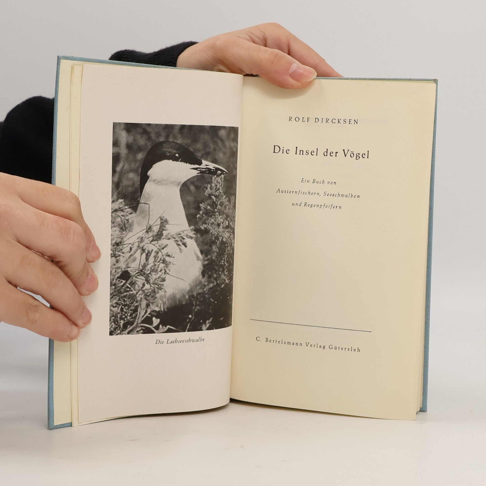 Rolf Dircksen Die Insel der Vögel