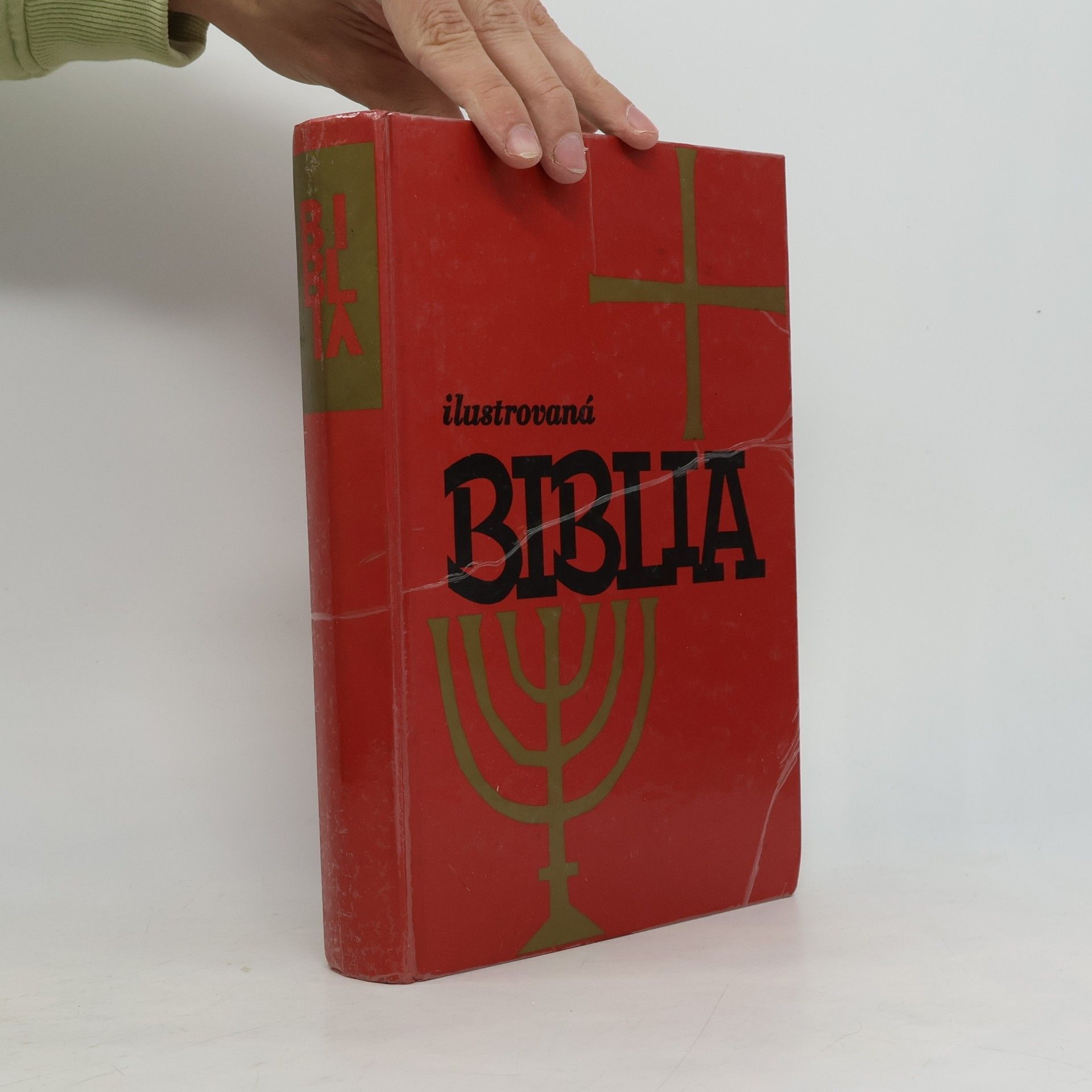 Autorenkollektiv Ilustrovaná biblia