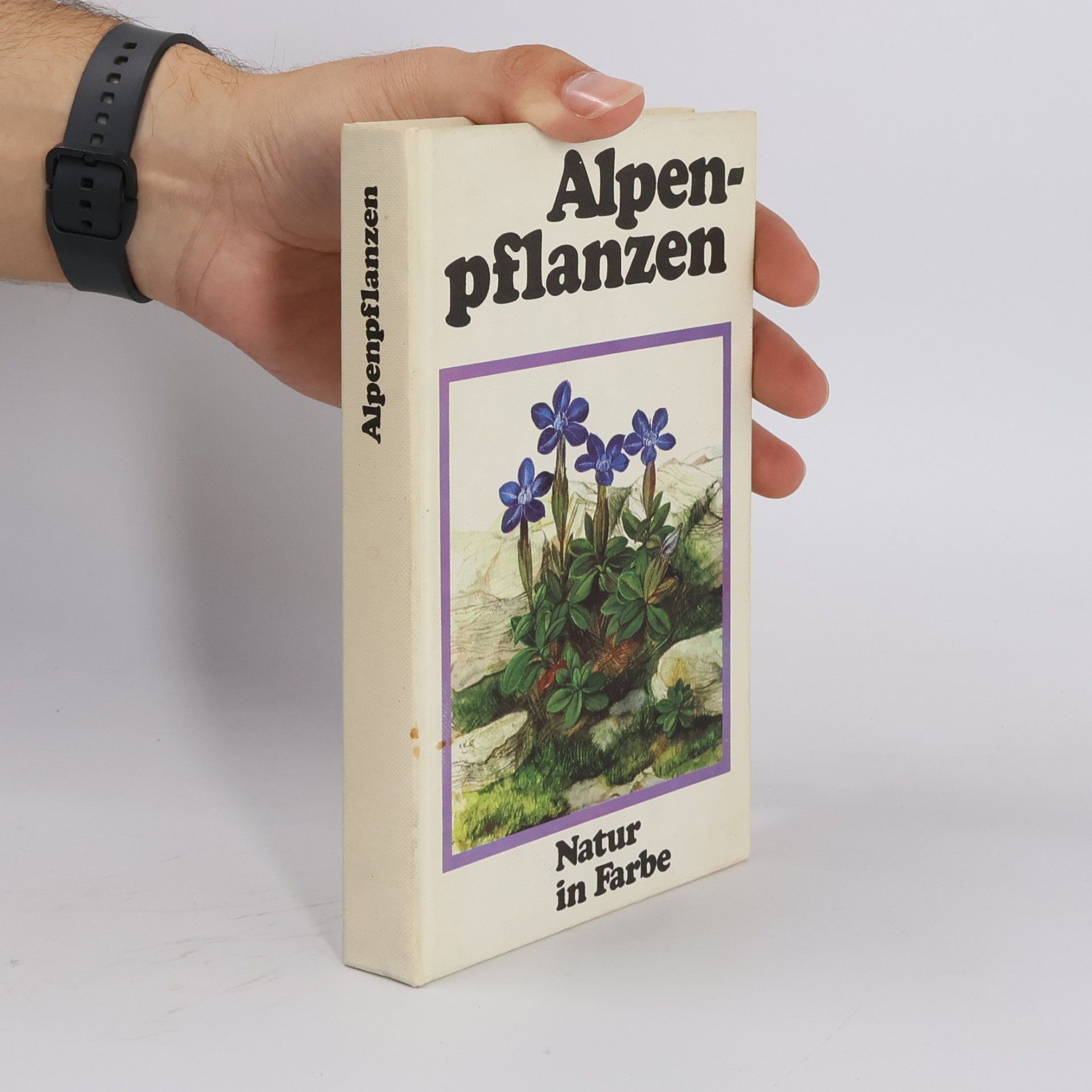 kolektiv Alpenpflanzen