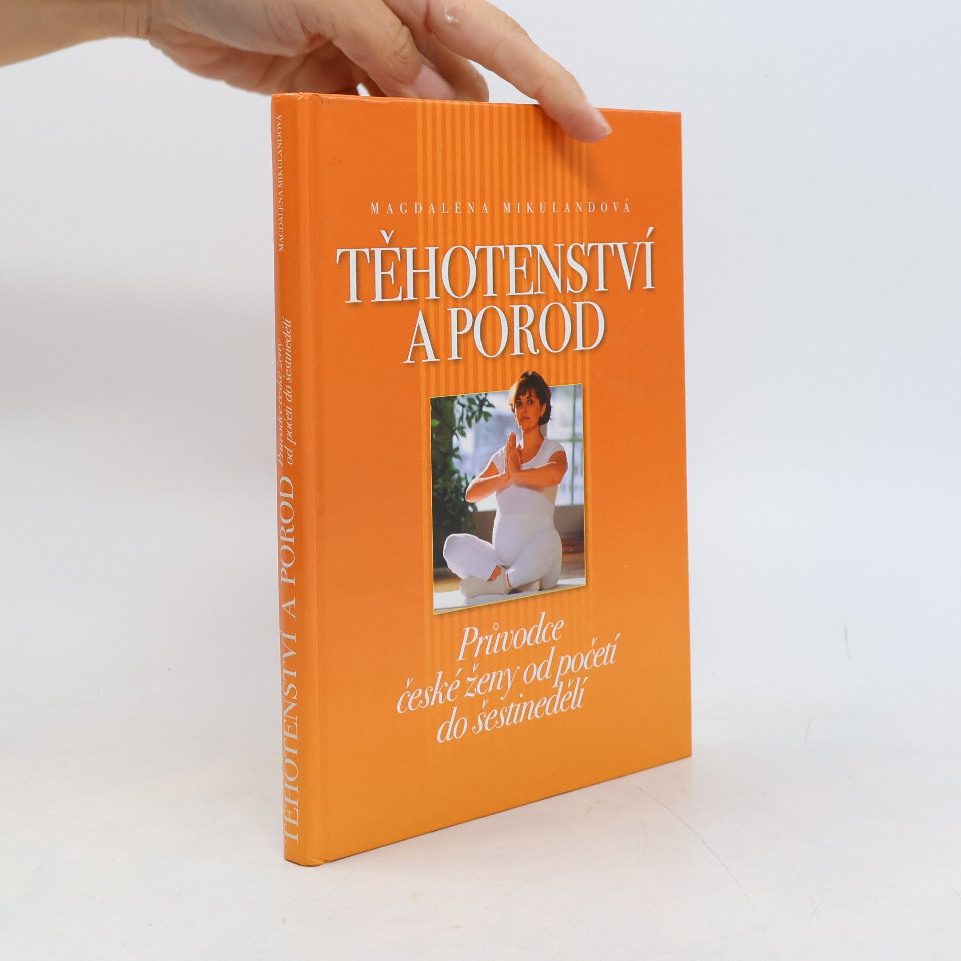 Magdalena Mikulandová Těhotenství a porod. Průvodce české ženy od početí do šestinedělí