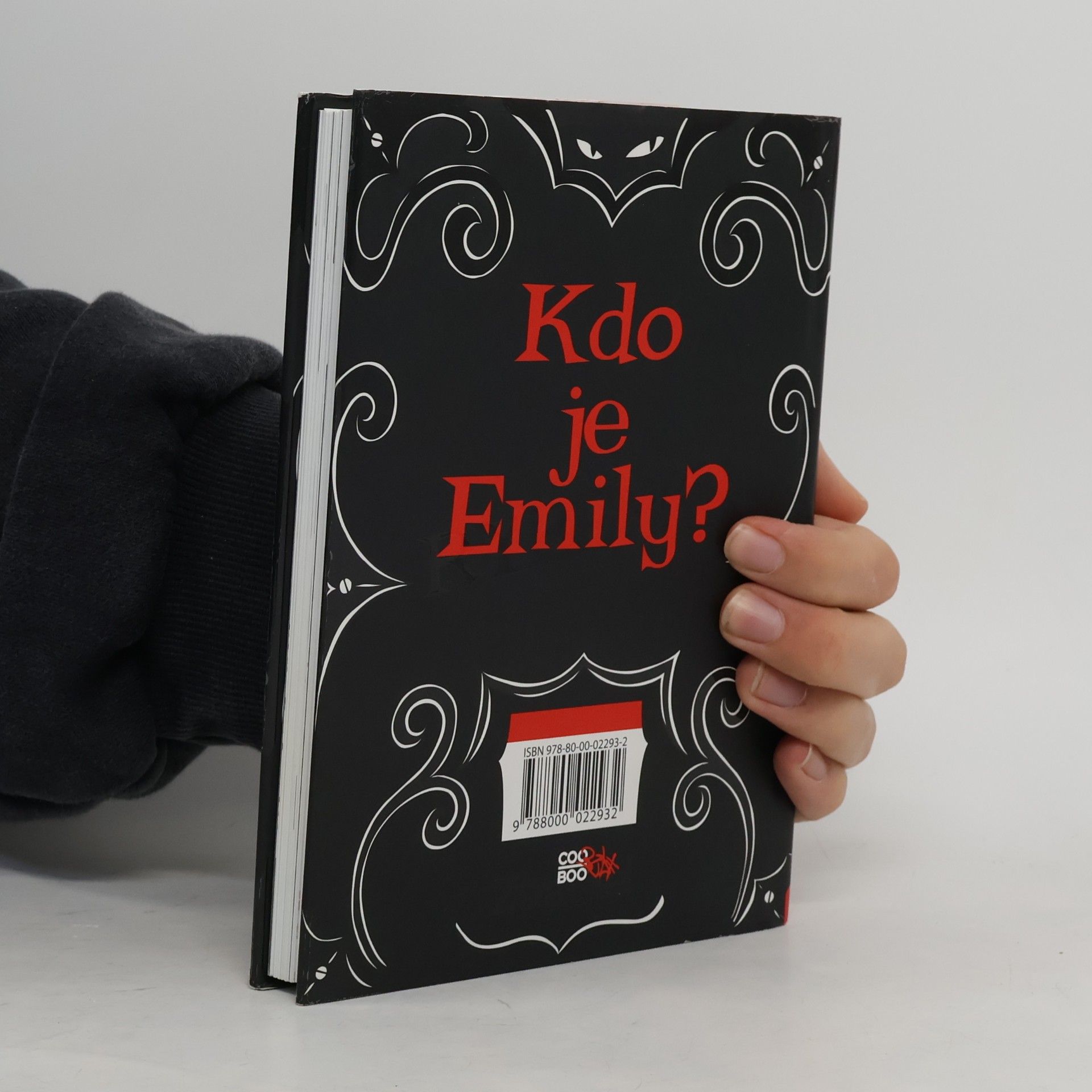 Robert Reger Emily Strange. Ztracené dny