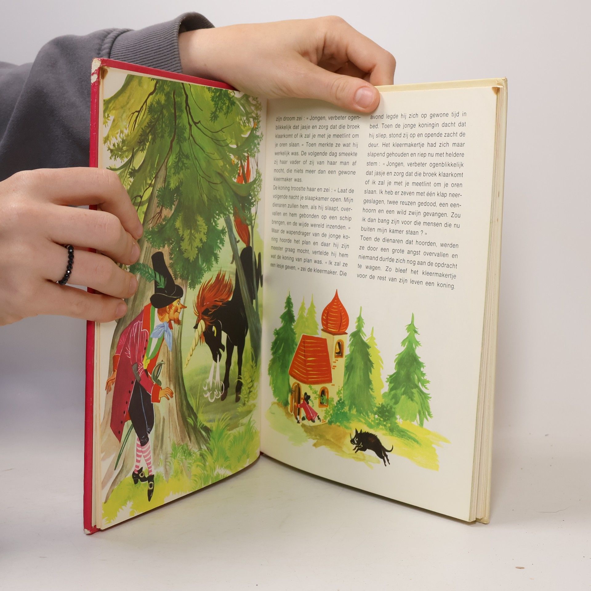 Grimm Grimm's Sprookjesschat