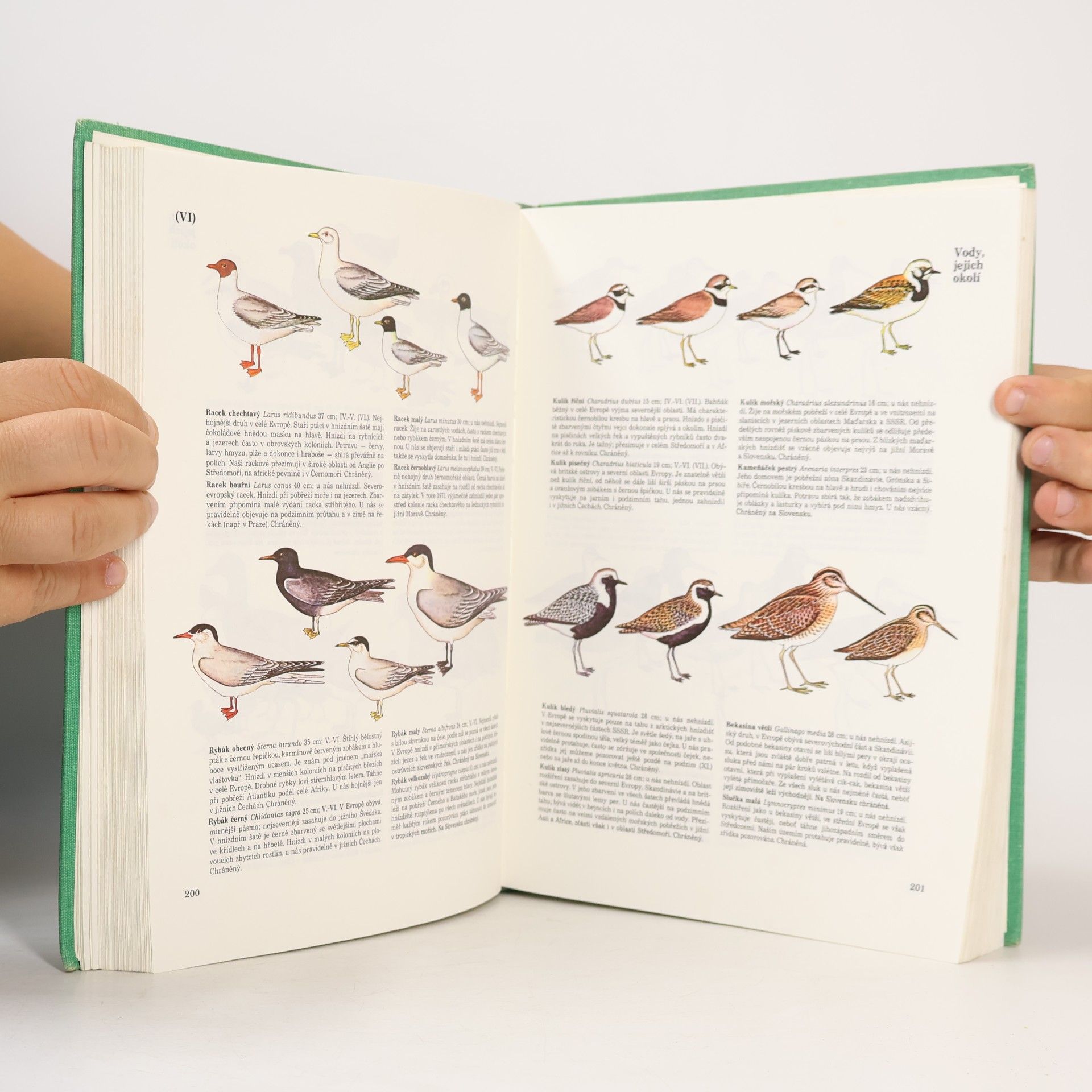 Various authors Příroda v ČSSR