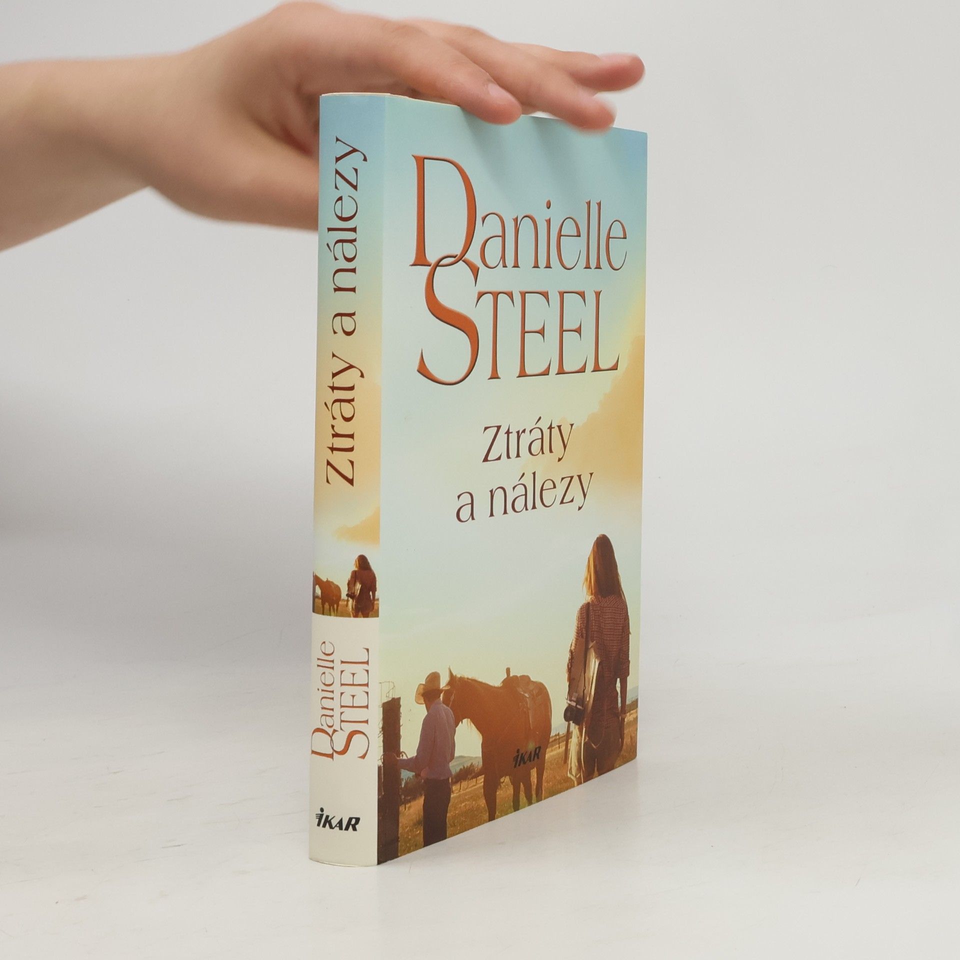 Danielle Steel Ztráty a nálezy