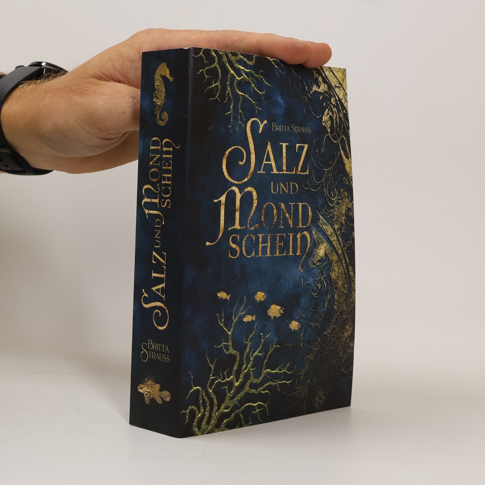 Britta Strauss Salz und Mondschein