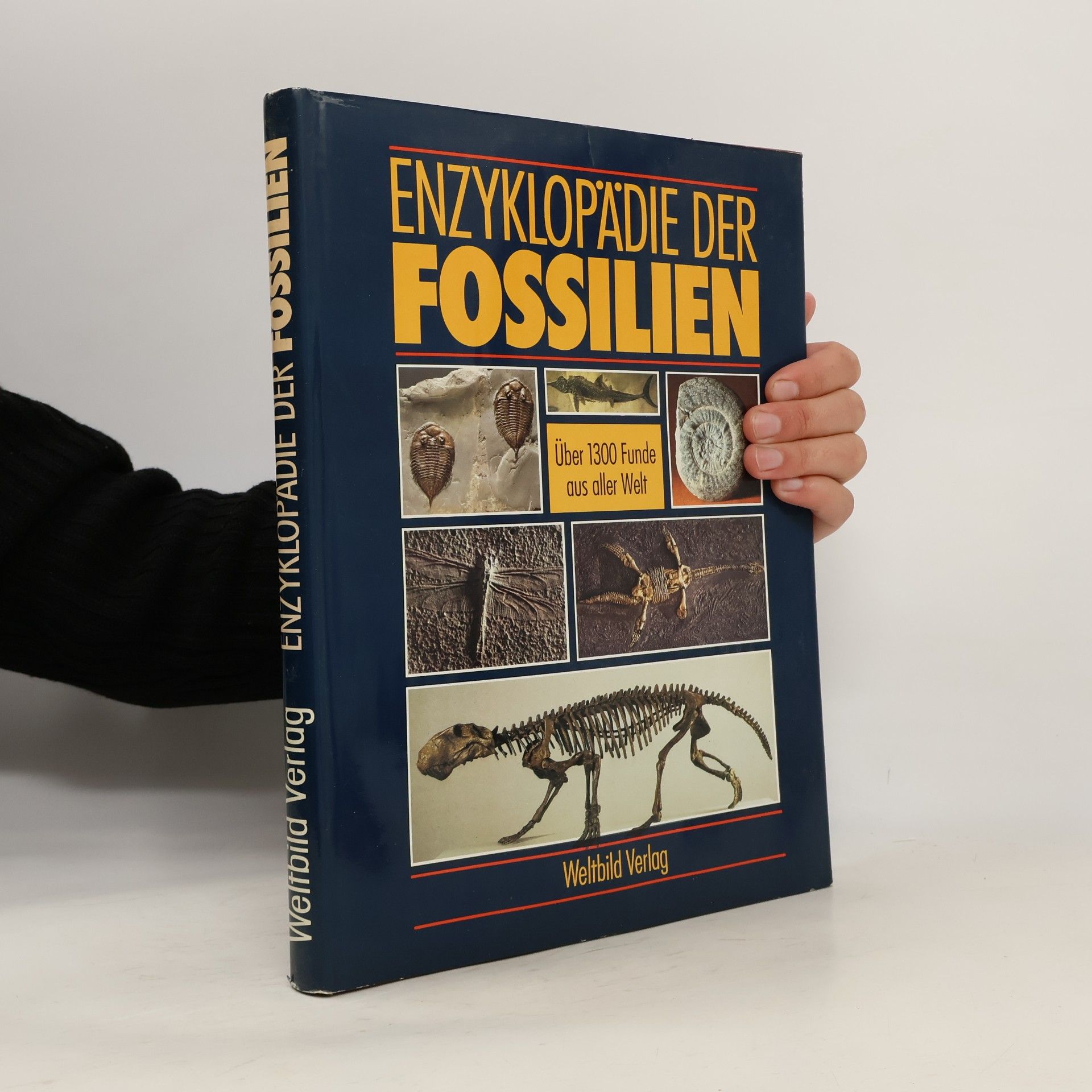 Enzyklopädie der Fossilien