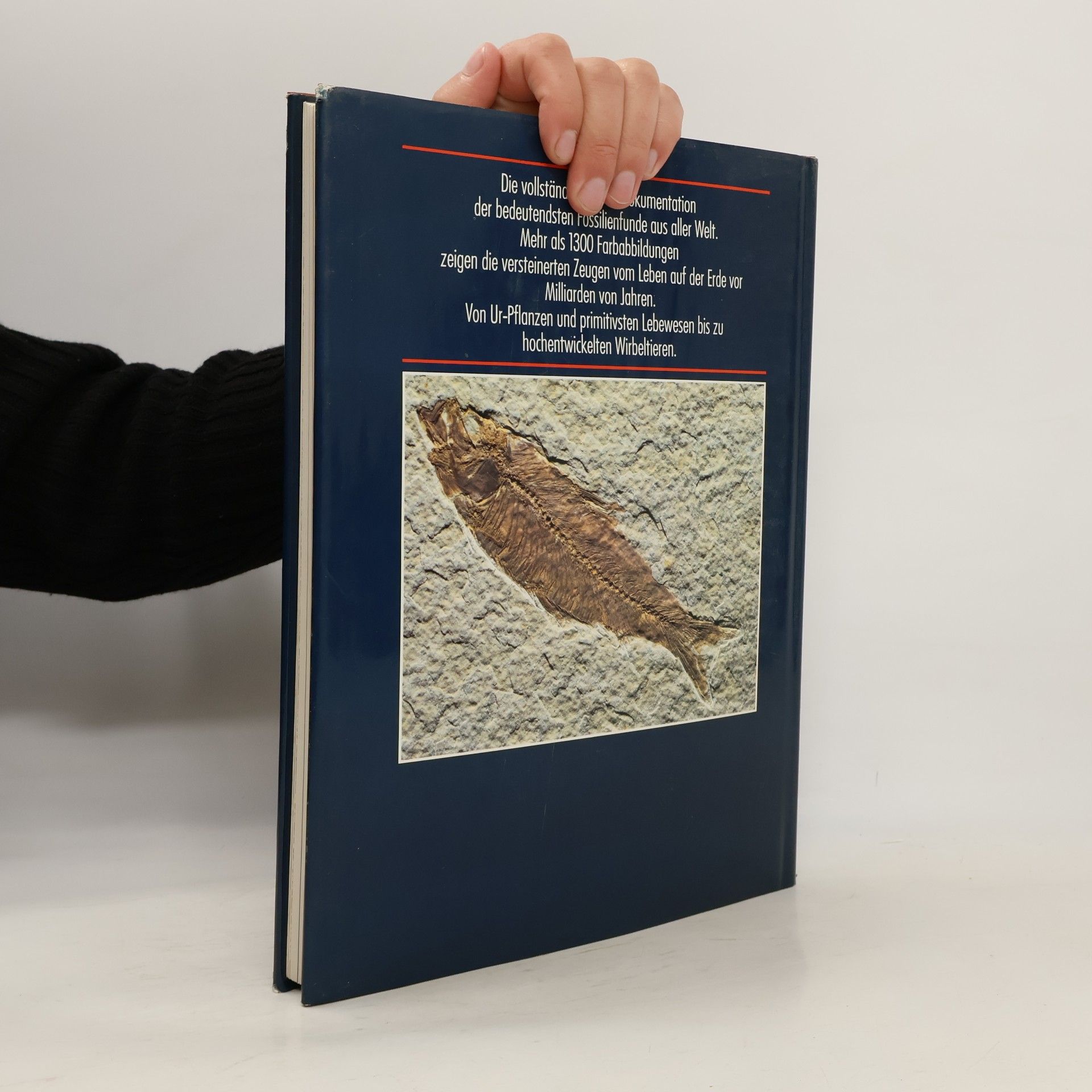 Giovanni Pinna Enzyklopädie der Fossilien