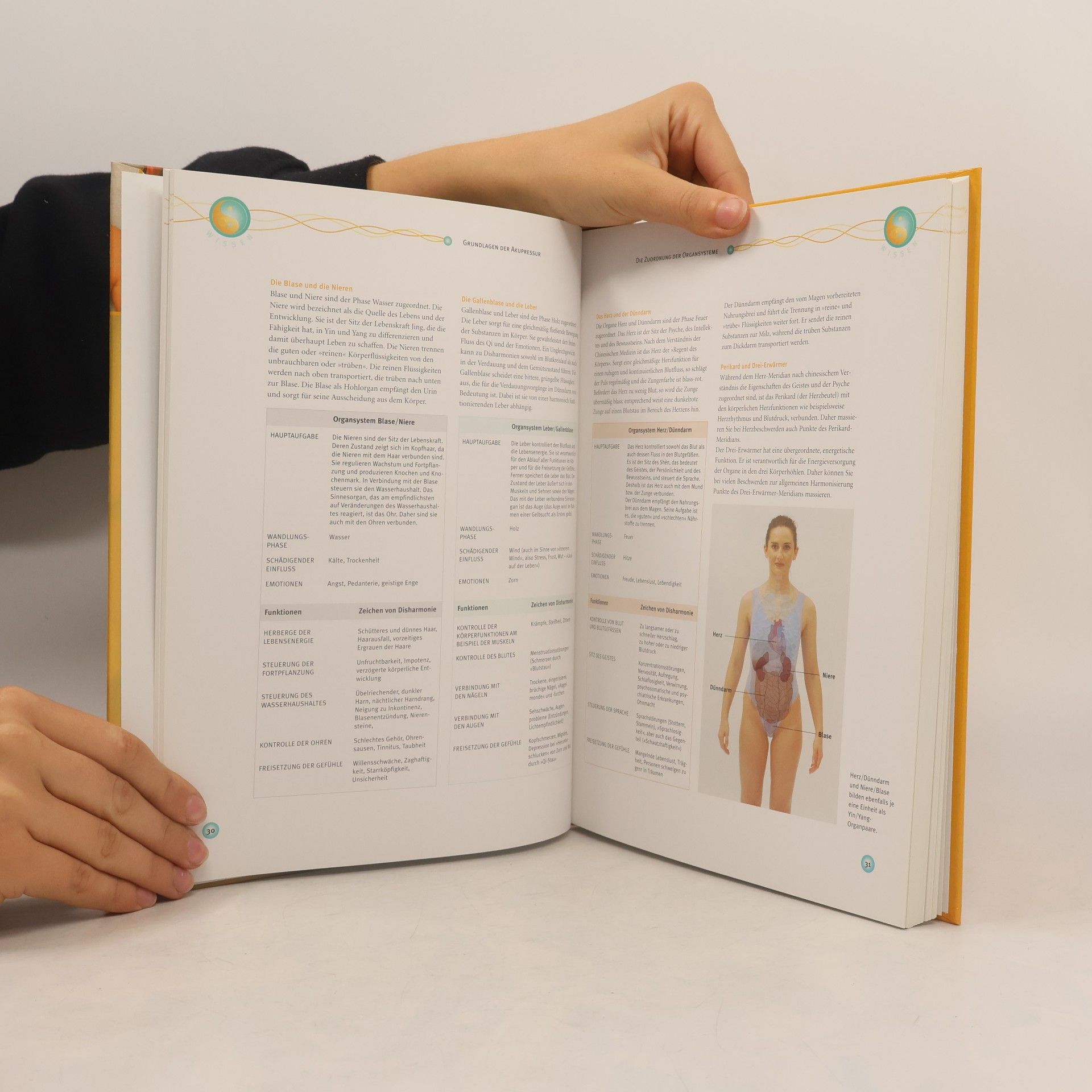 Bernard C. Bernard Carl Kolster Knaurs Atlas der Akupressur