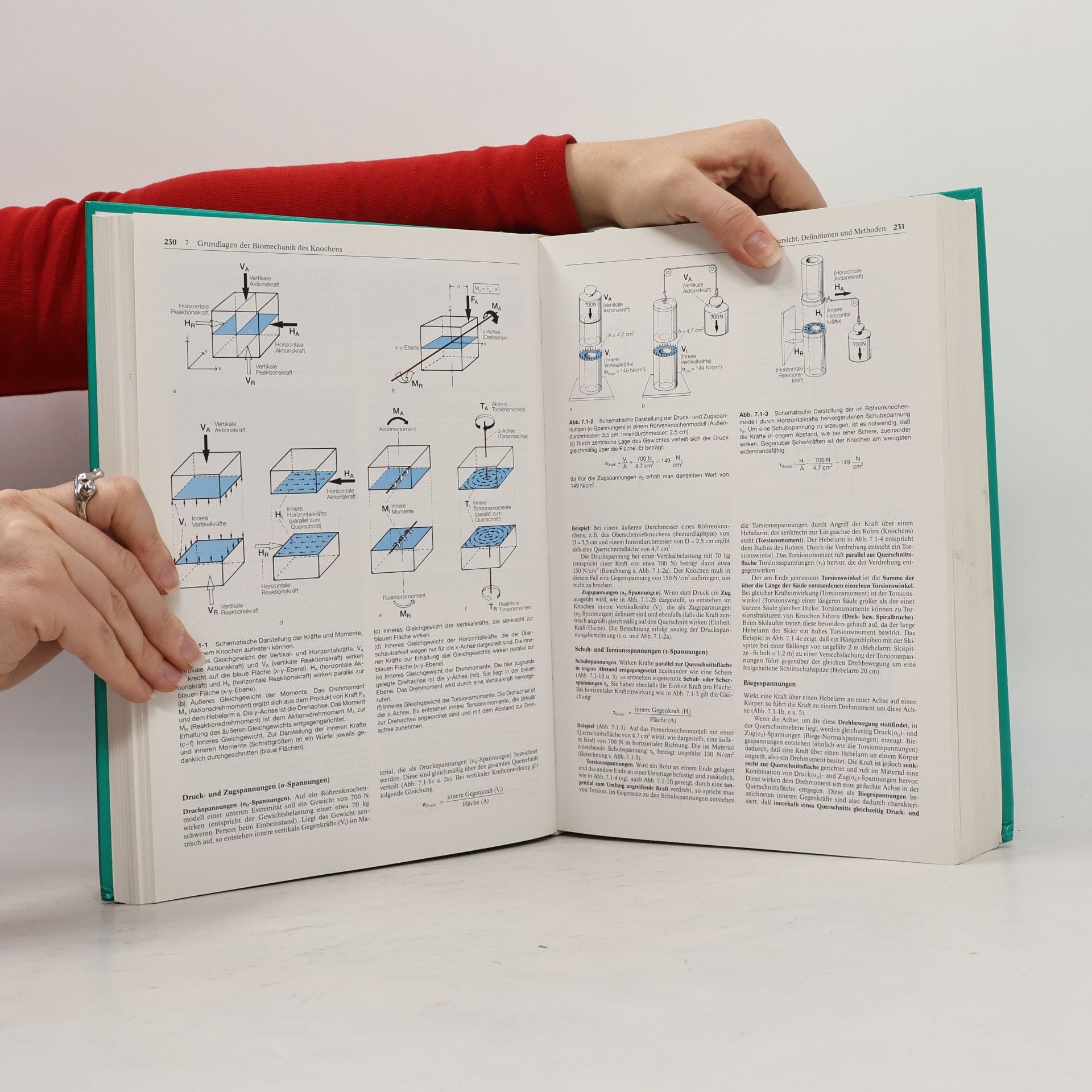 Dirk Berens von Rautenfeld Anatomie