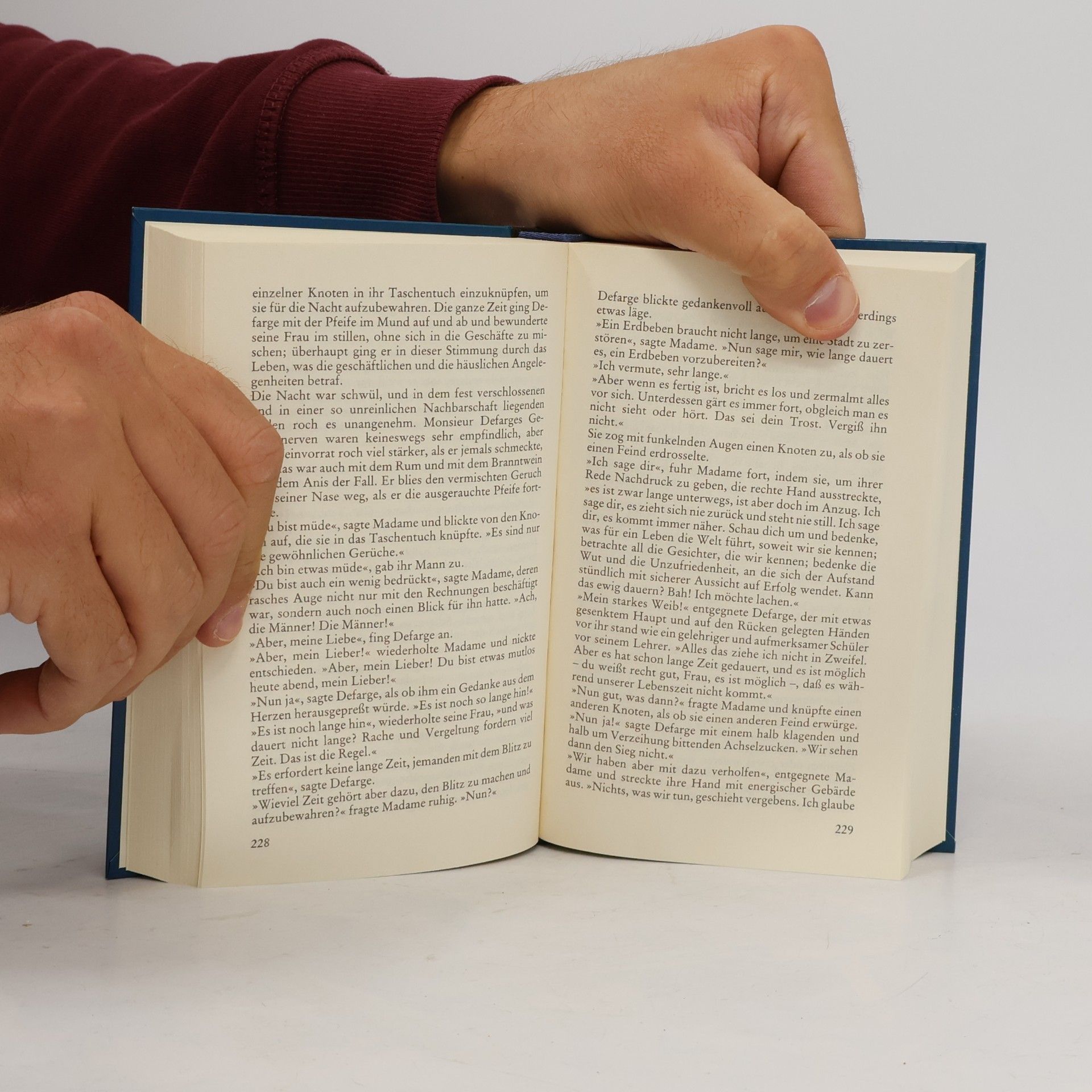 Charles Dickens Zwei Städte