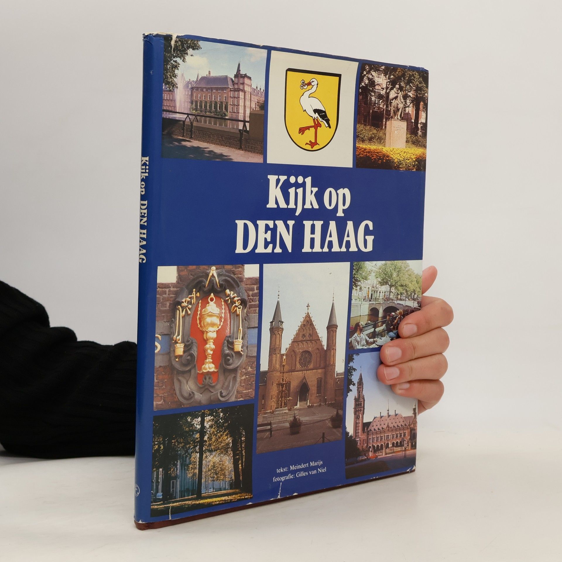 Gilles van Niel Kijk op steden: Den Haag