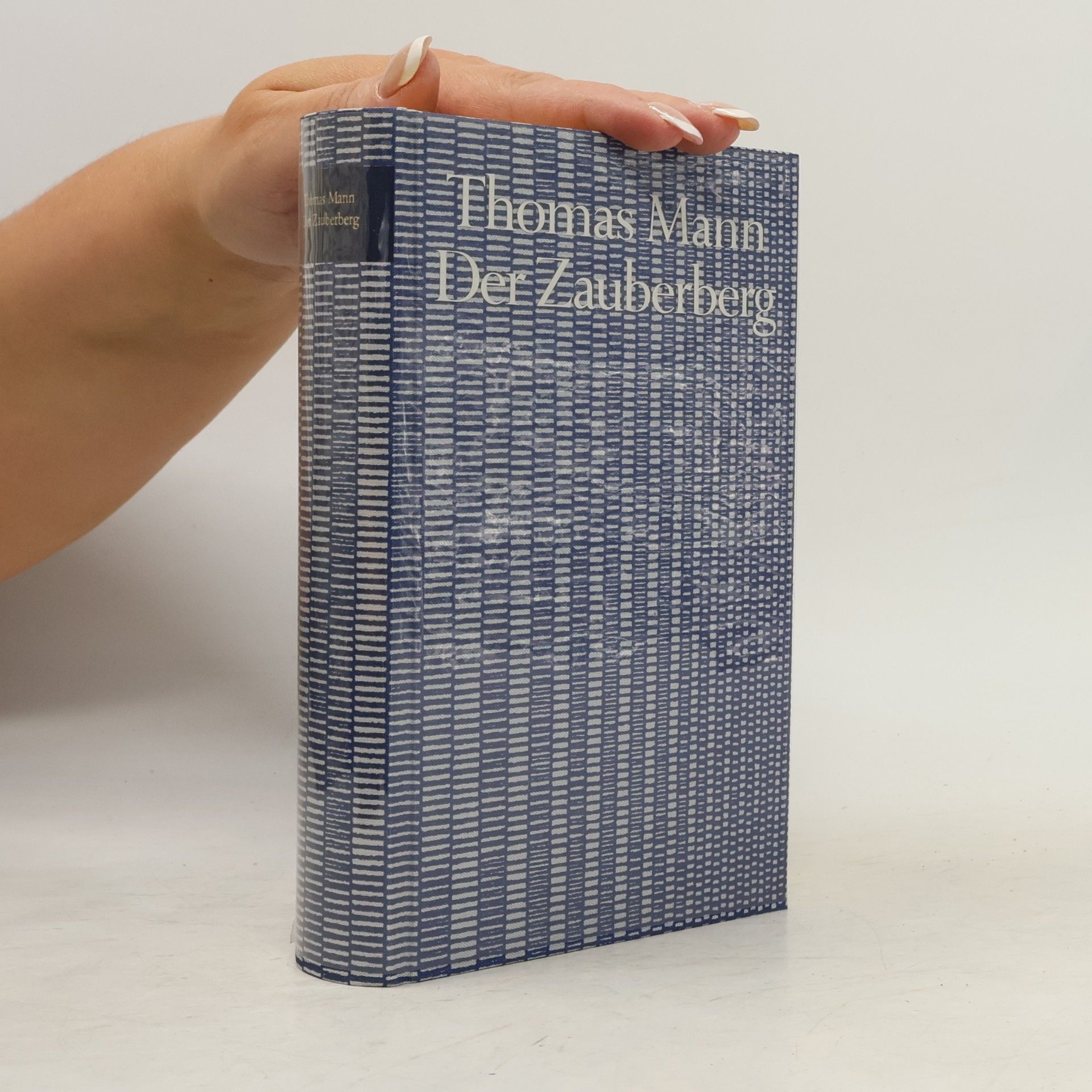 Thomas Mann Der Zaubergerg
