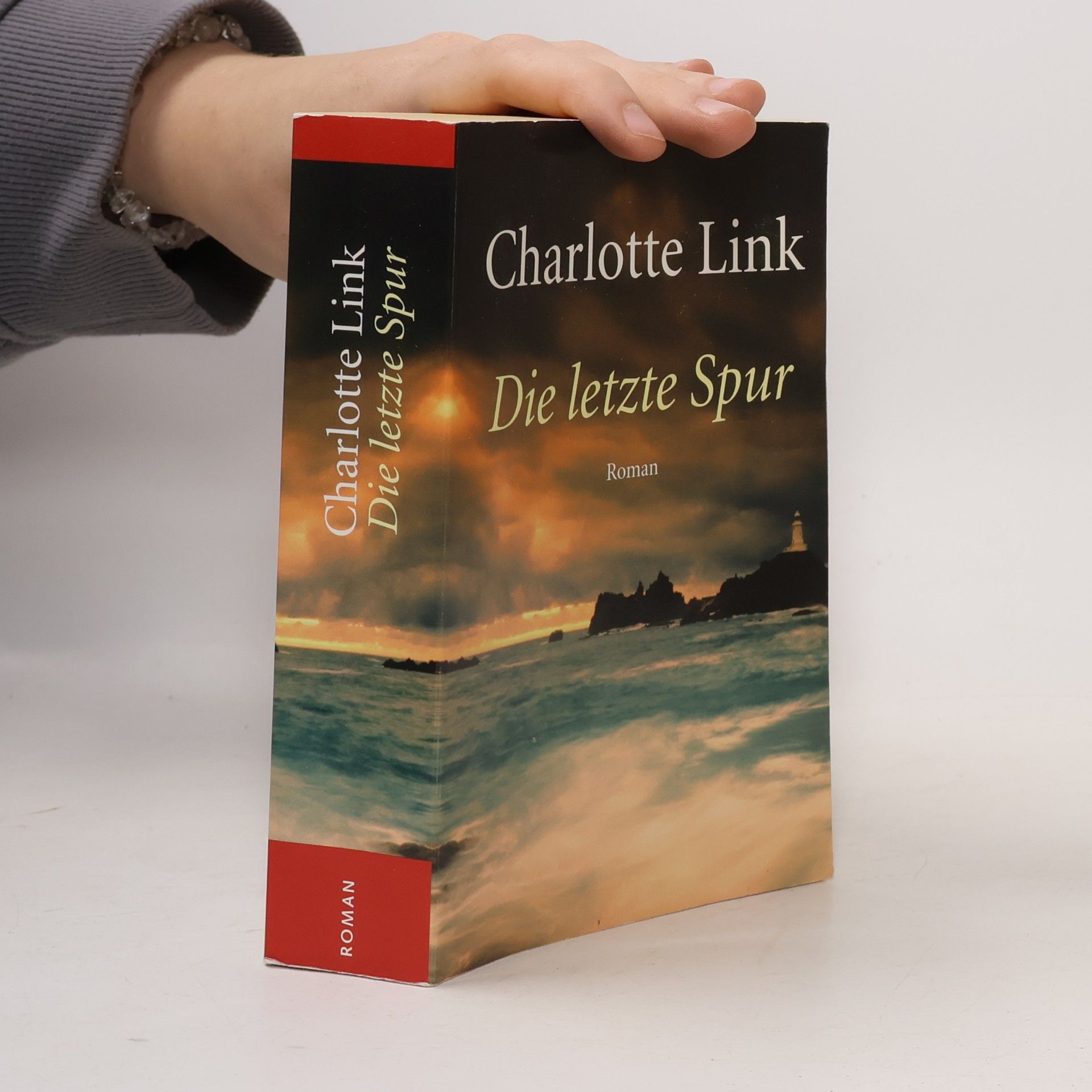 Charlotte Link Die letzte Spur