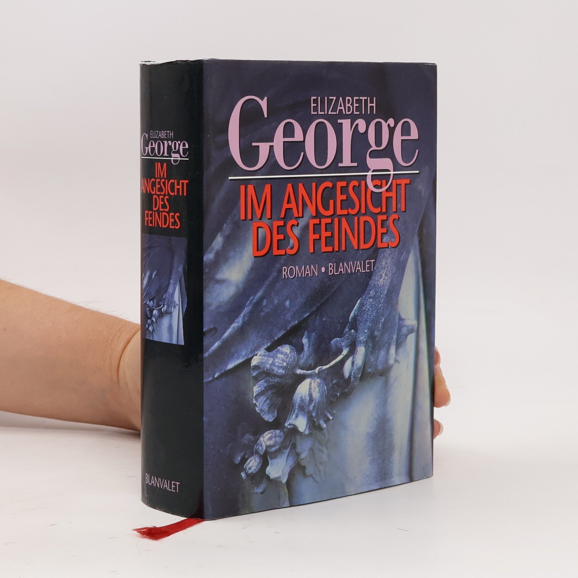 Elizabeth George Im Angesicht des Feindes