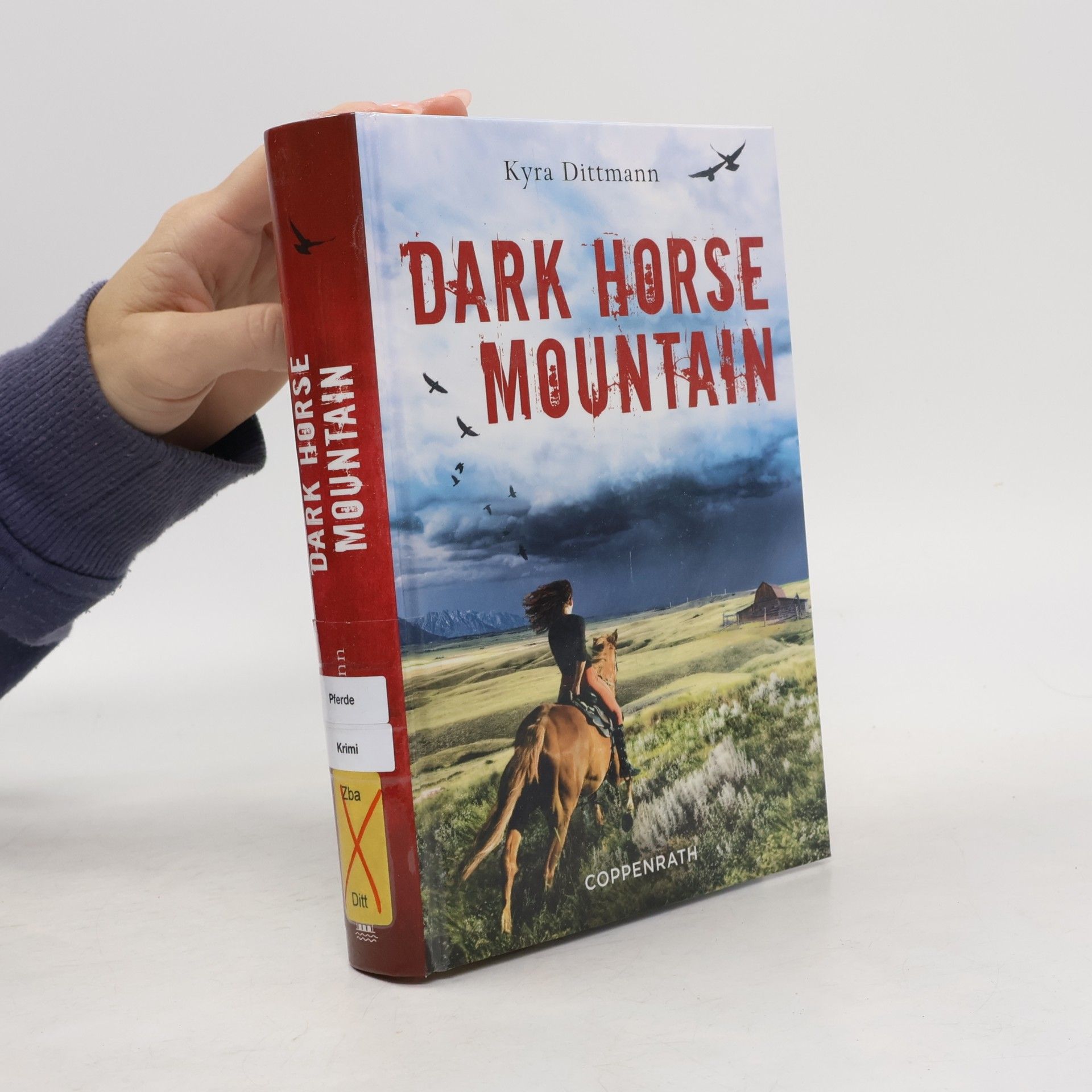 Dark Horse Mountain