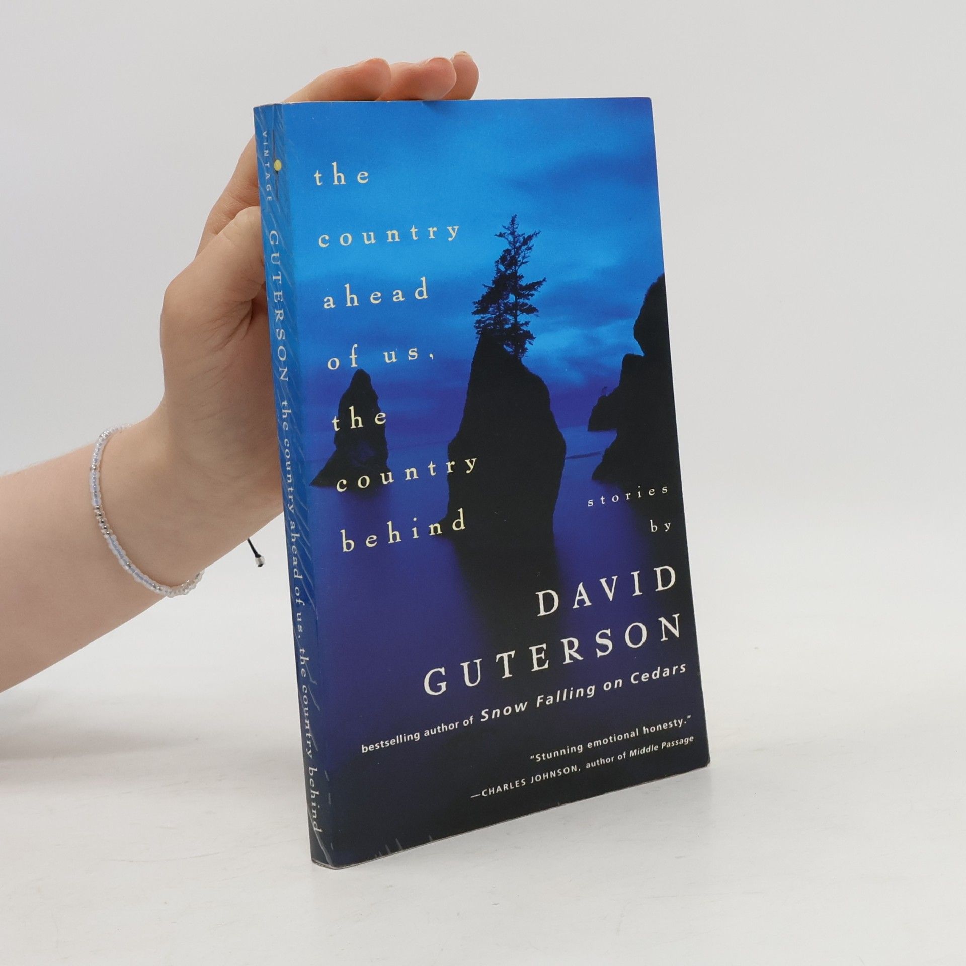 David Guterson The Country Ahead of Us, the Country Behind