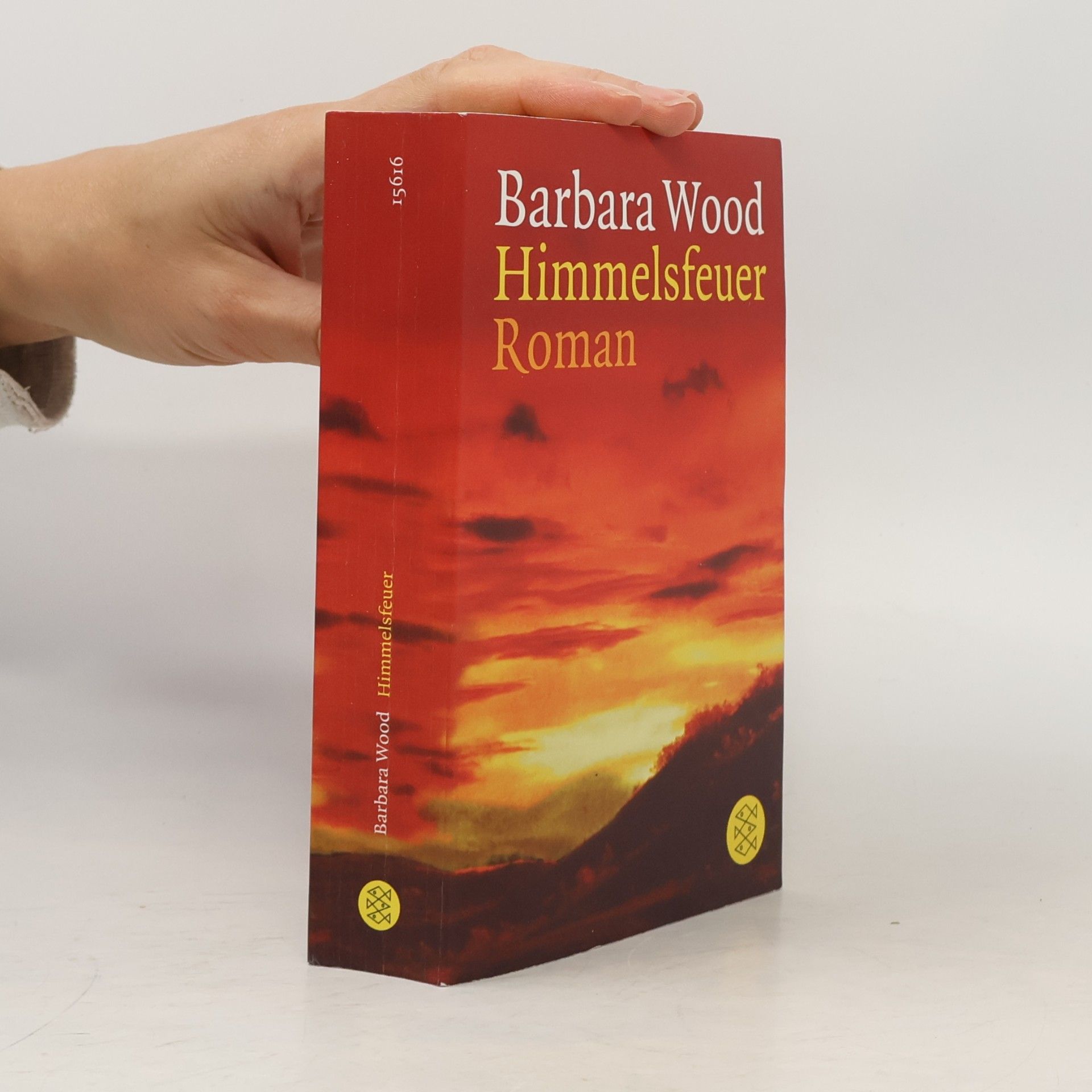Barbara Wood Himmelsfeuer