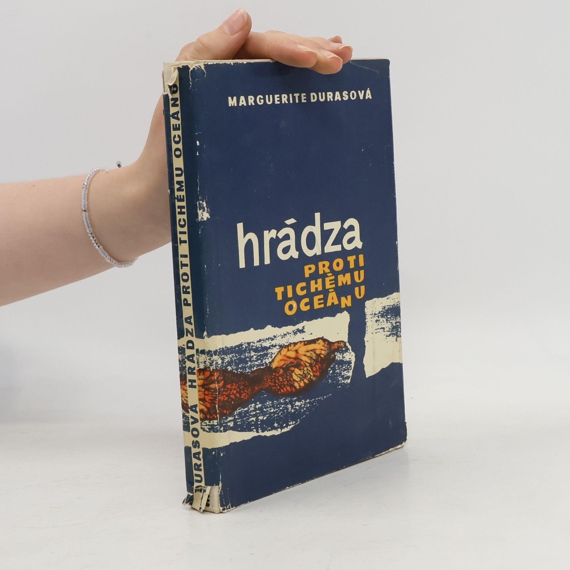 Marguerite Duras Hrádza proti Tichému oceánu