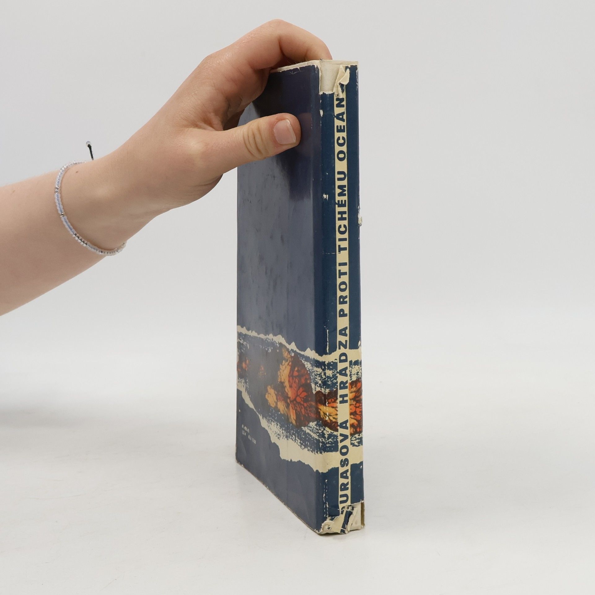 Marguerite Duras Hrádza proti Tichému oceánu