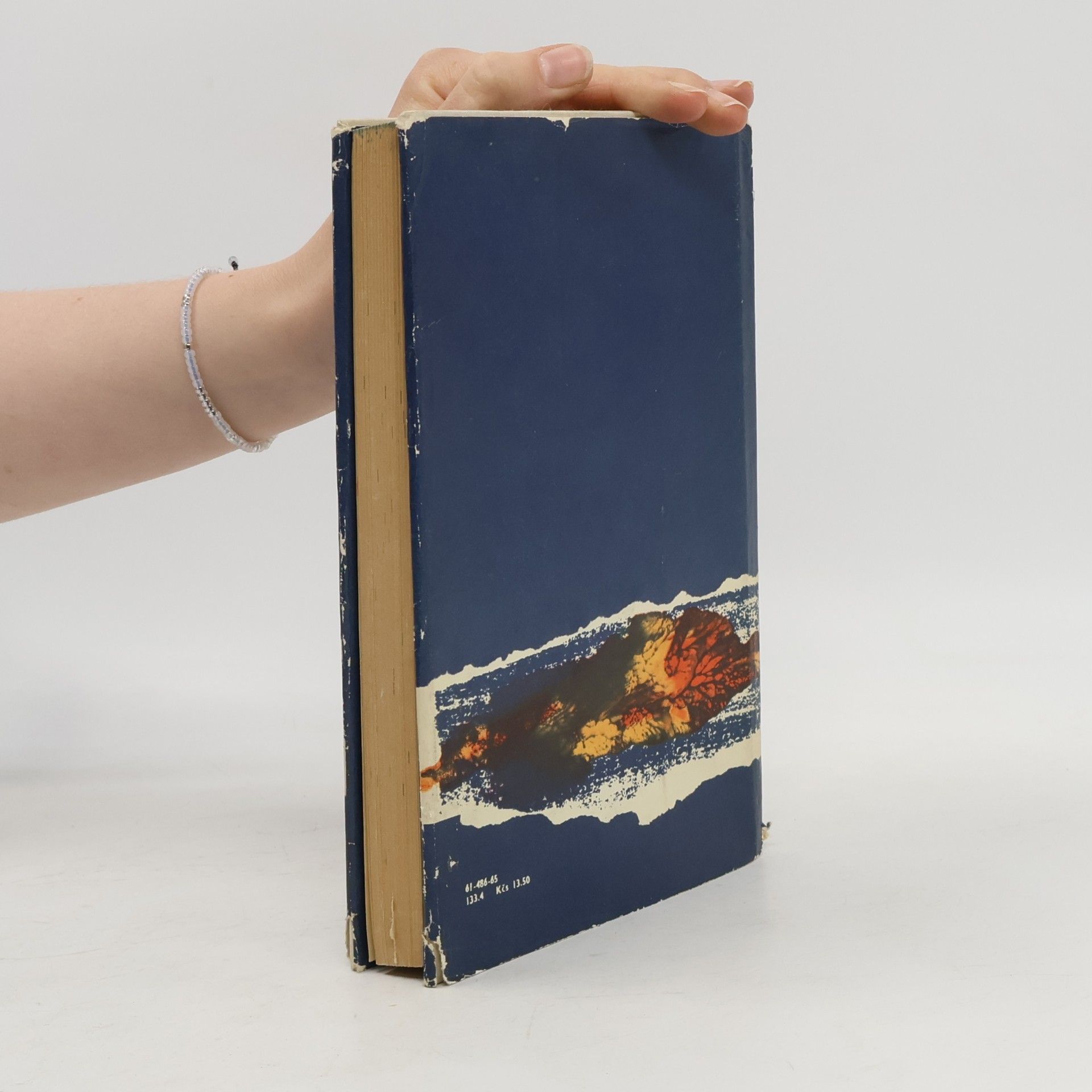 Marguerite Duras Hrádza proti Tichému oceánu