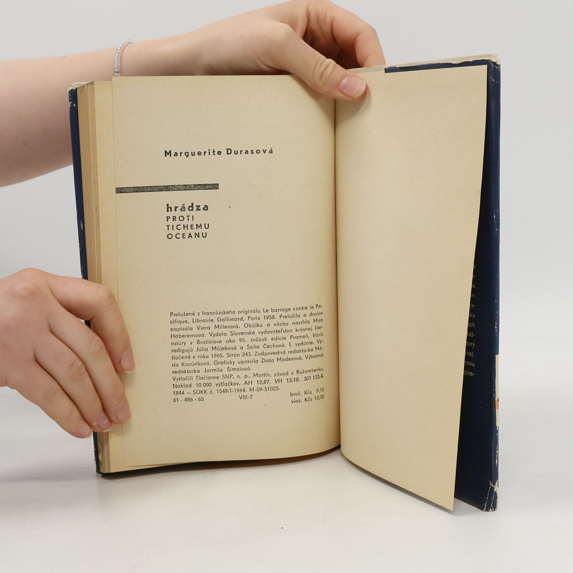 Marguerite Duras Hrádza proti Tichému oceánu