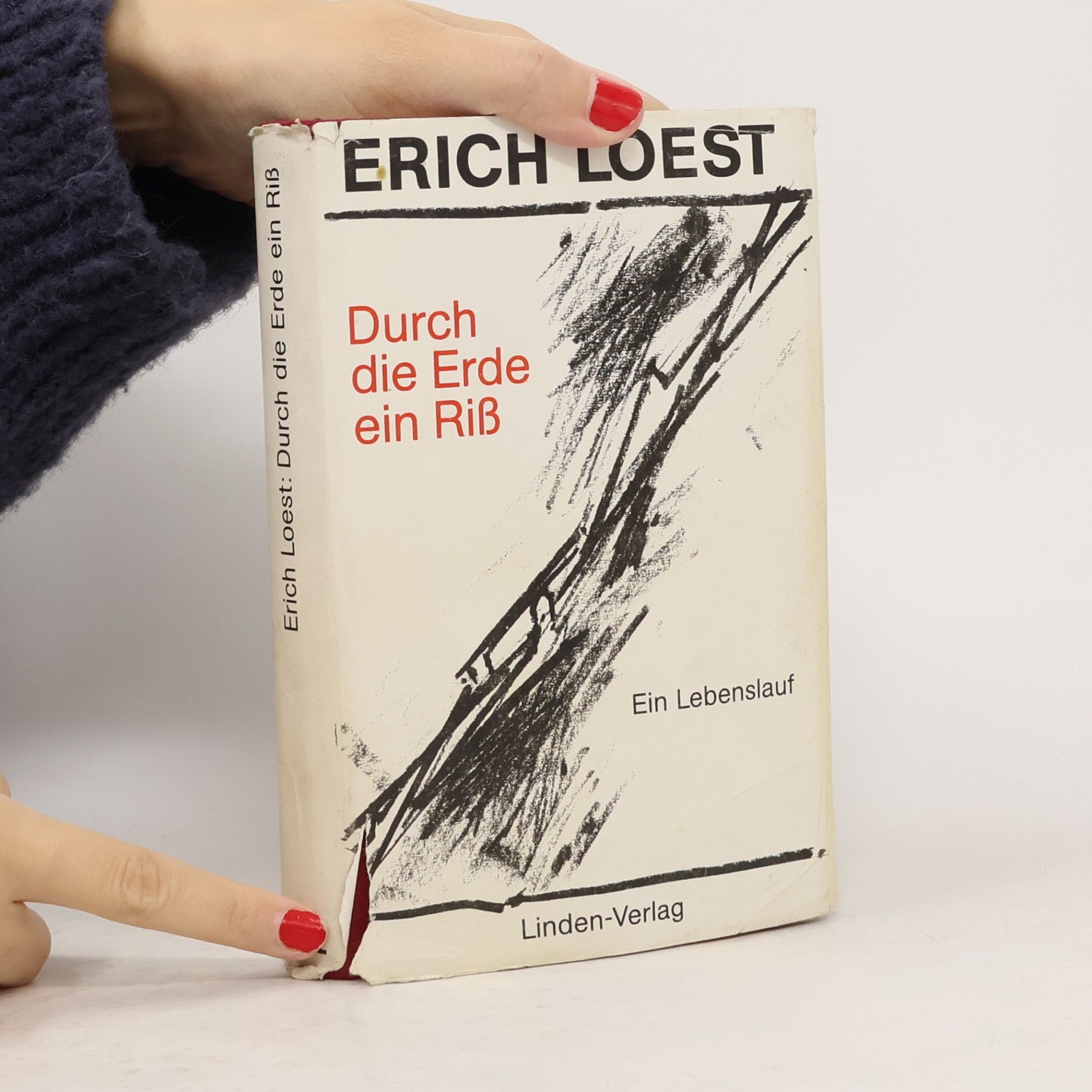 Erich Loest Durch die Erde ein Riss