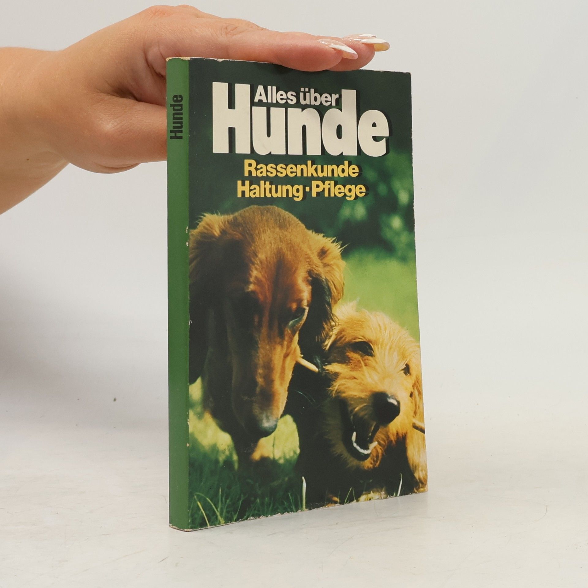 Alles über Hunde