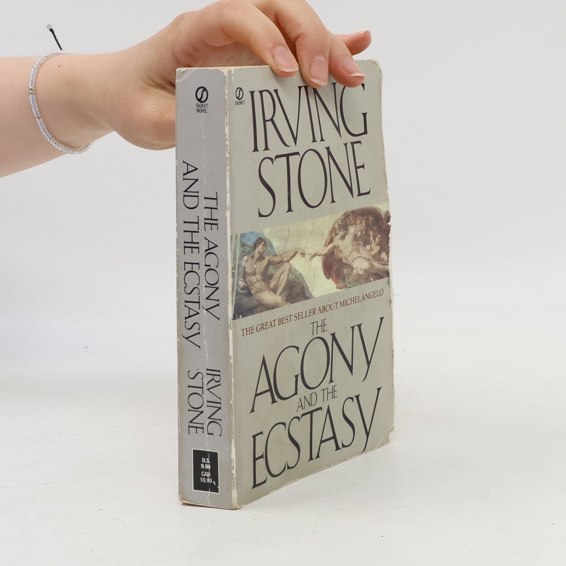 Irving Stone The agony and the ecstasy : a biographical novel of Michelangelo