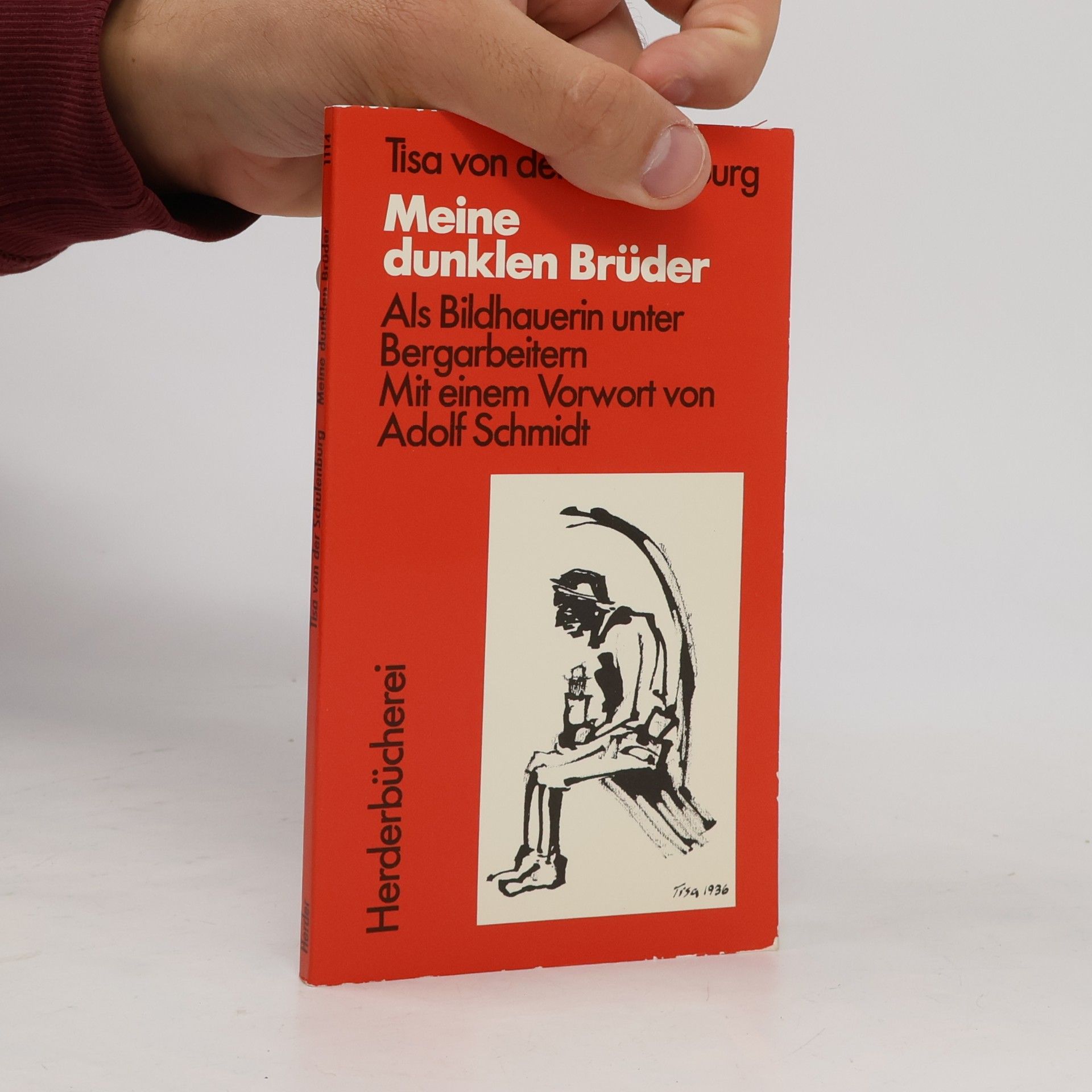 Tisa von der Schulenburg Meine dunklen Brüder
