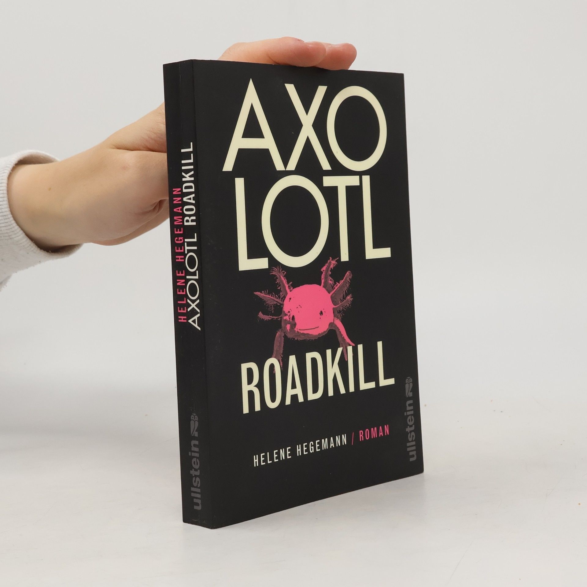 Helene Hegemann Axolotl Roadkill : Roman