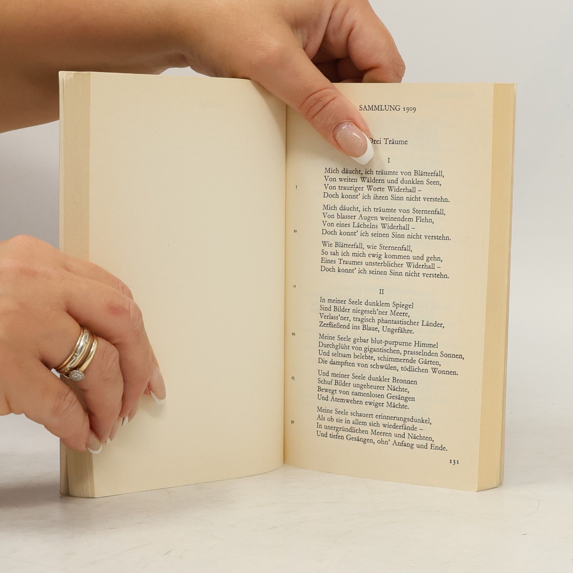 Georg Trakl Das dichterische Werk
