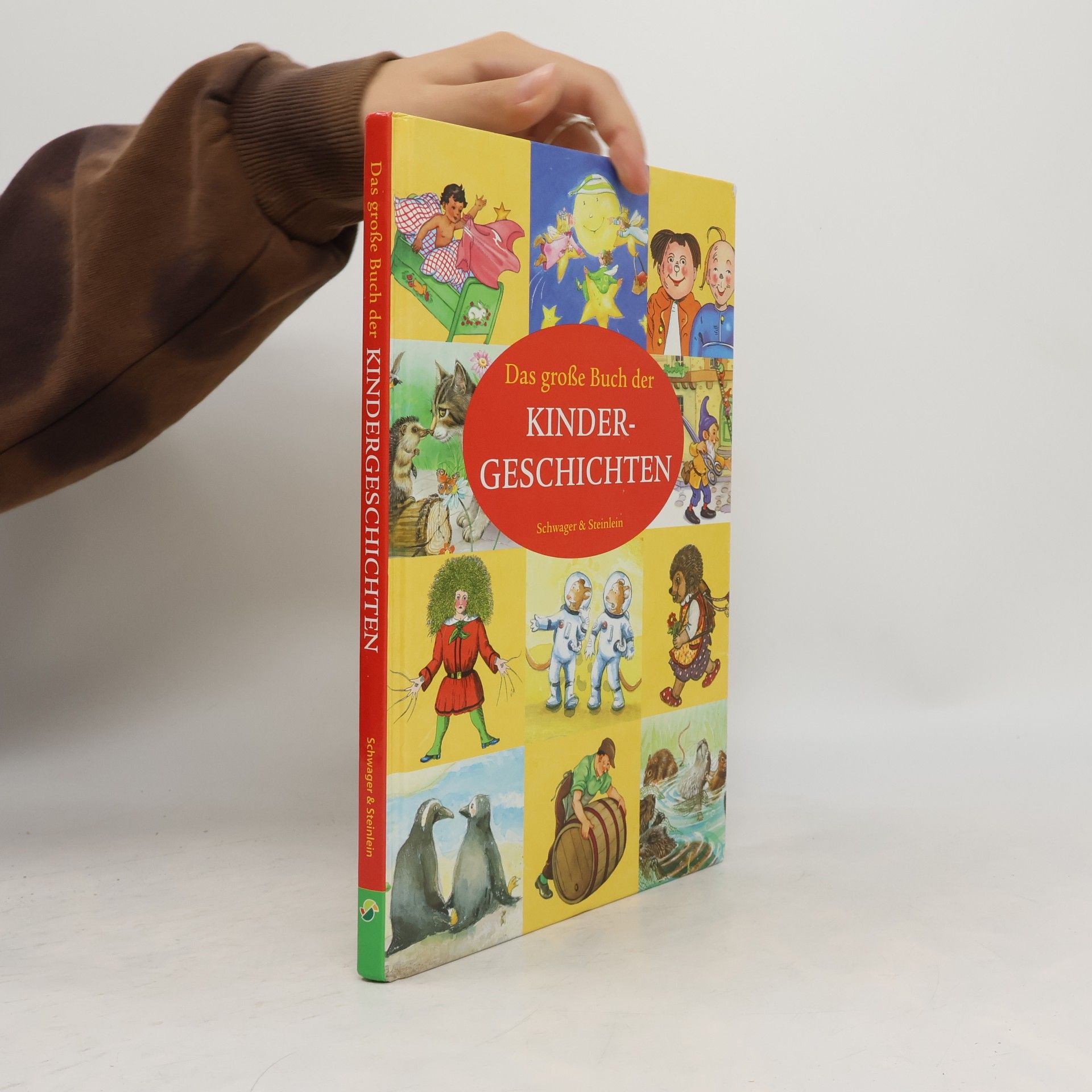 kolektiv Das große Buch der Kindergeschichten