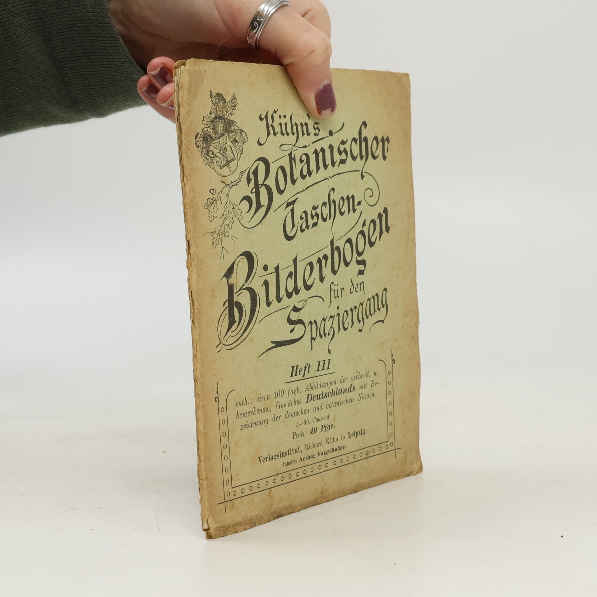 Kühn's Botanischer Taschen-Bilderbogen für den Spaziergang III.