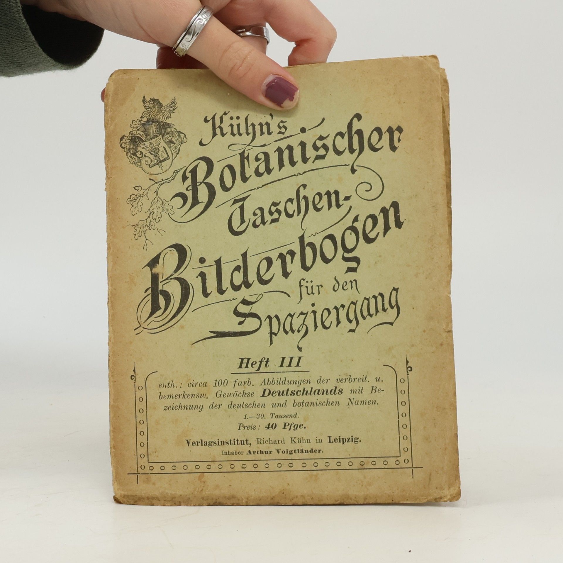 Richard Kuhn Kühn's Botanischer Taschen-Bilderbogen für den Spaziergang III.