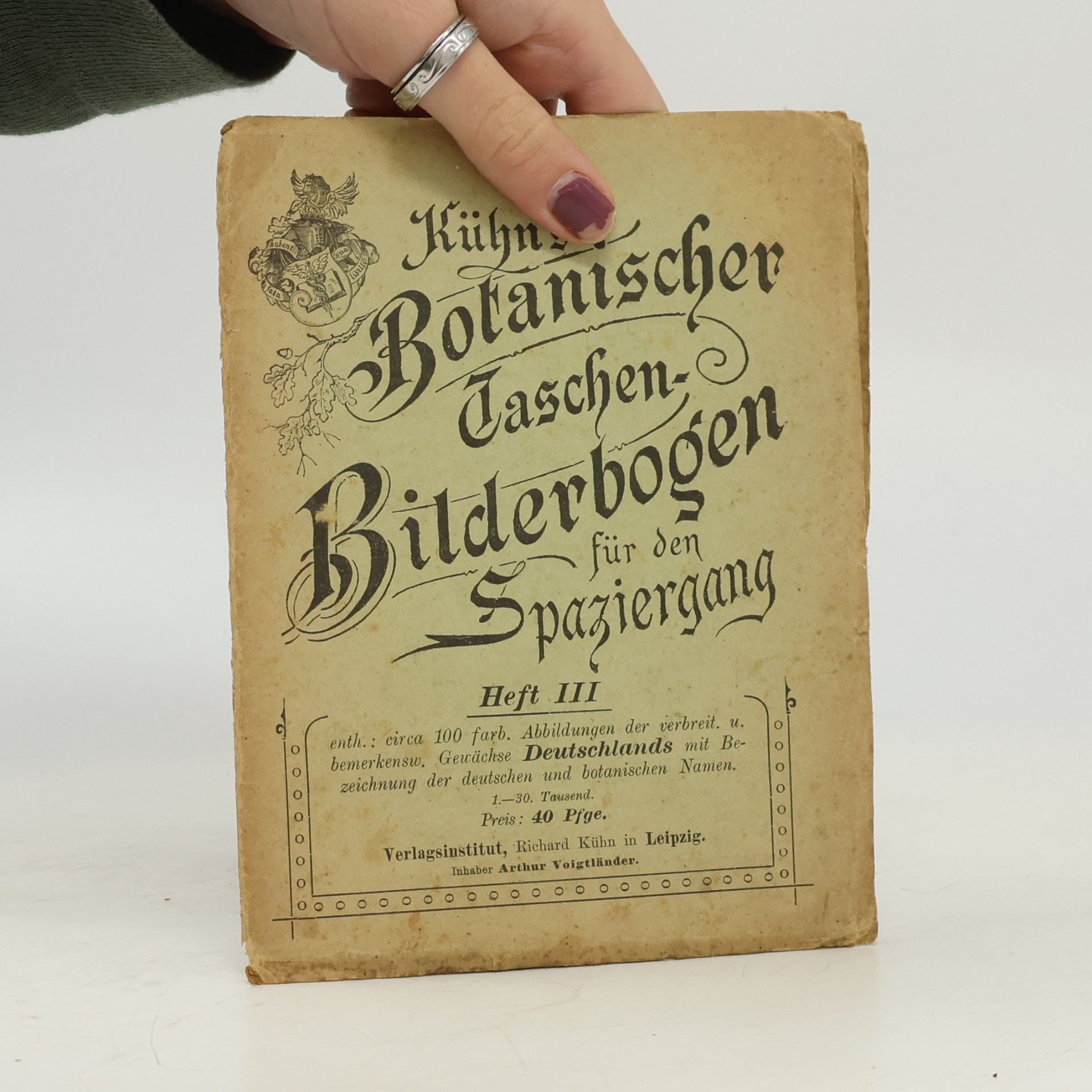 Richard Kuhn Kühn's Botanischer Taschen-Bilderbogen für den Spaziergang III.